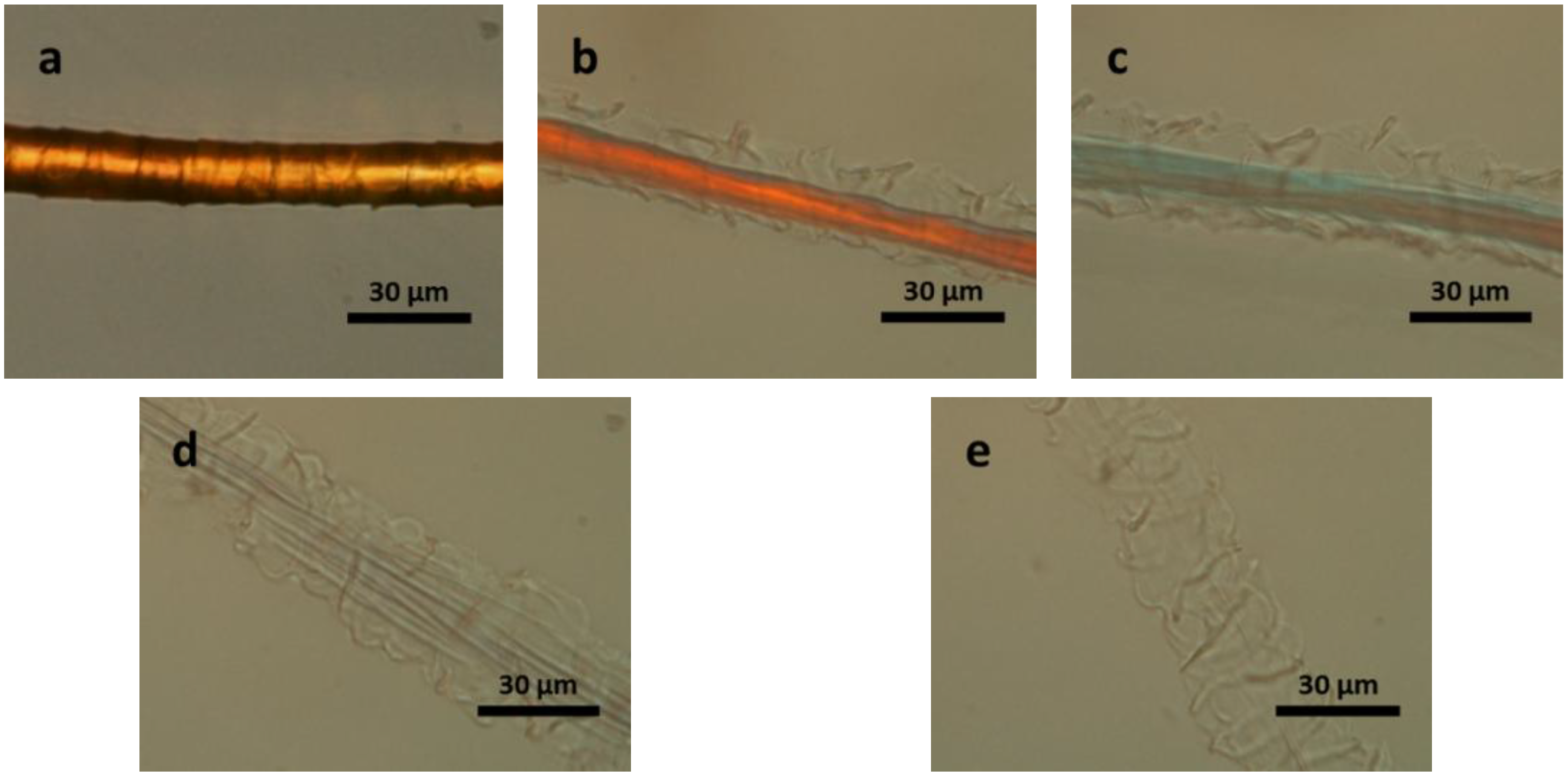 Materials 07 06158 g002