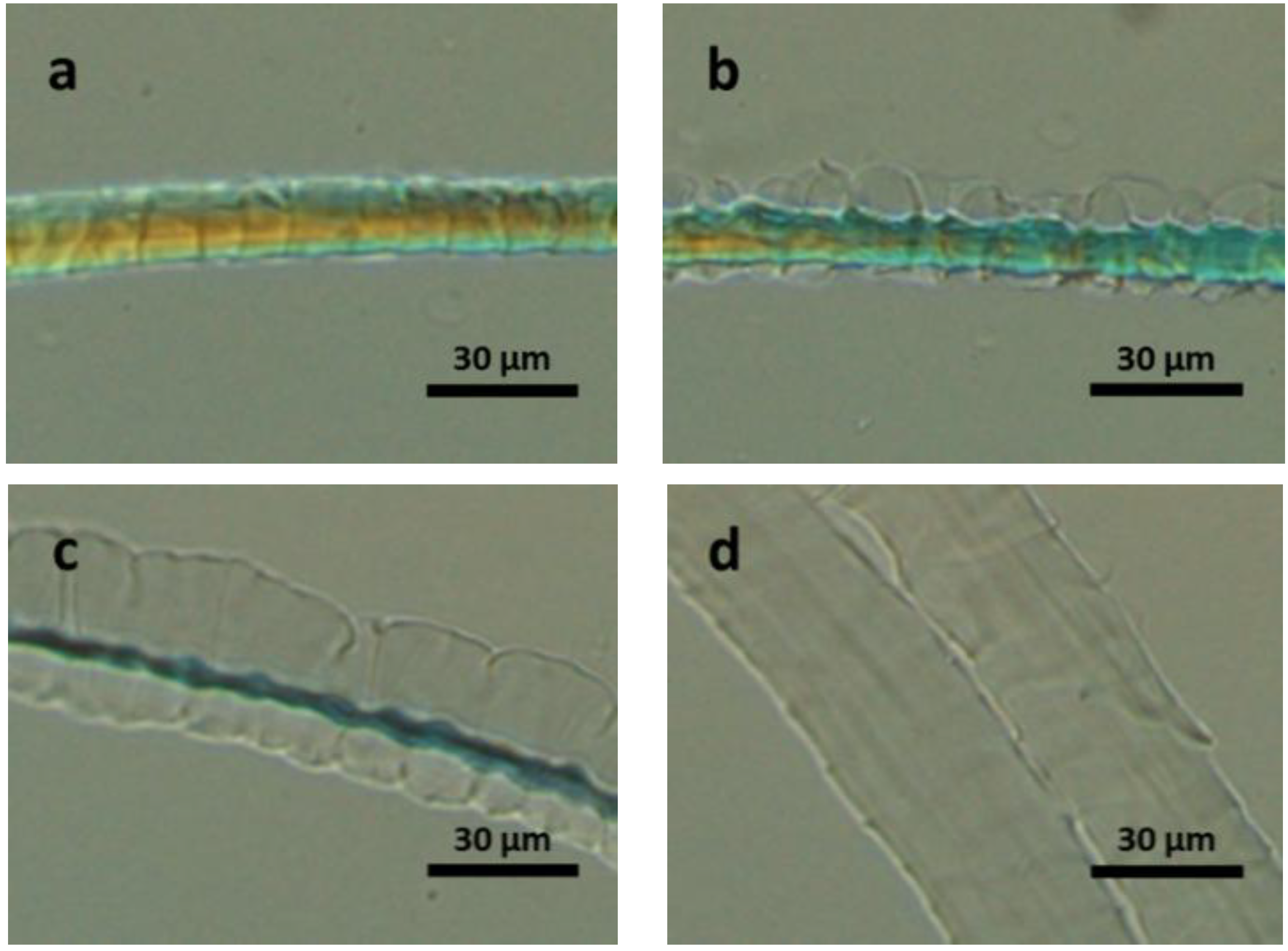 Materials 07 06158 g004