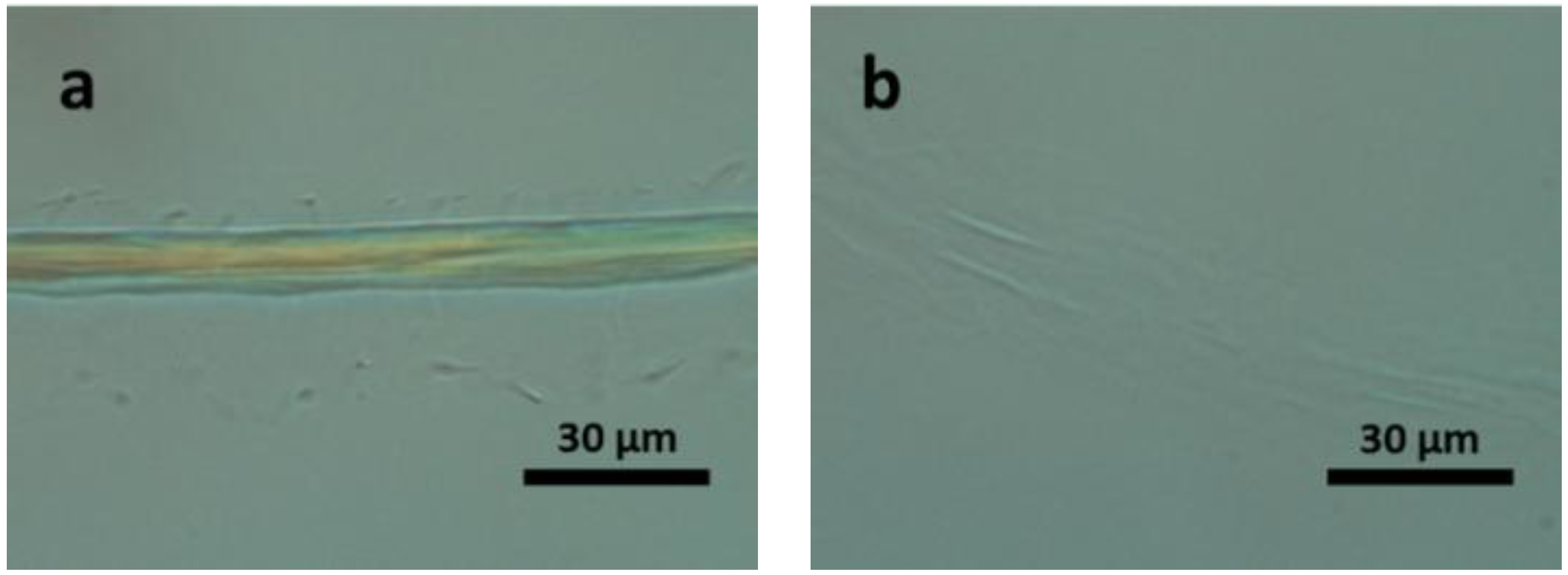Materials 07 06158 g005
