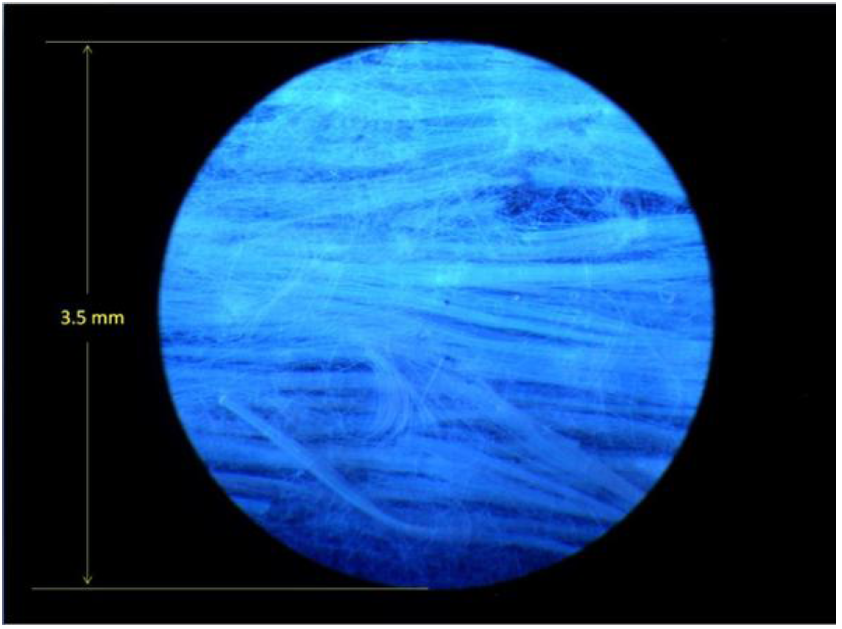 Materials 07 06291 g007 1024