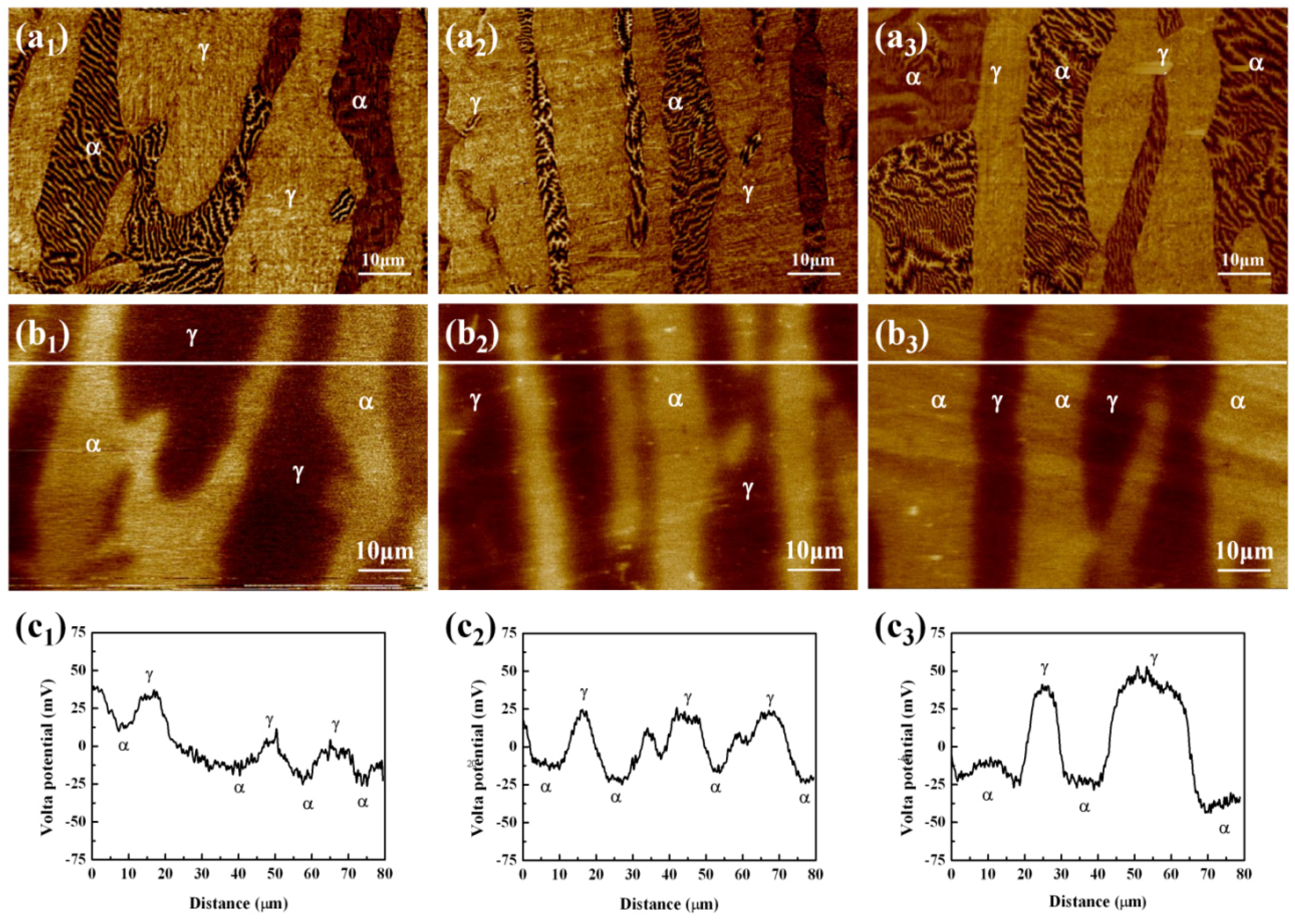 Materials 07 06604 g011