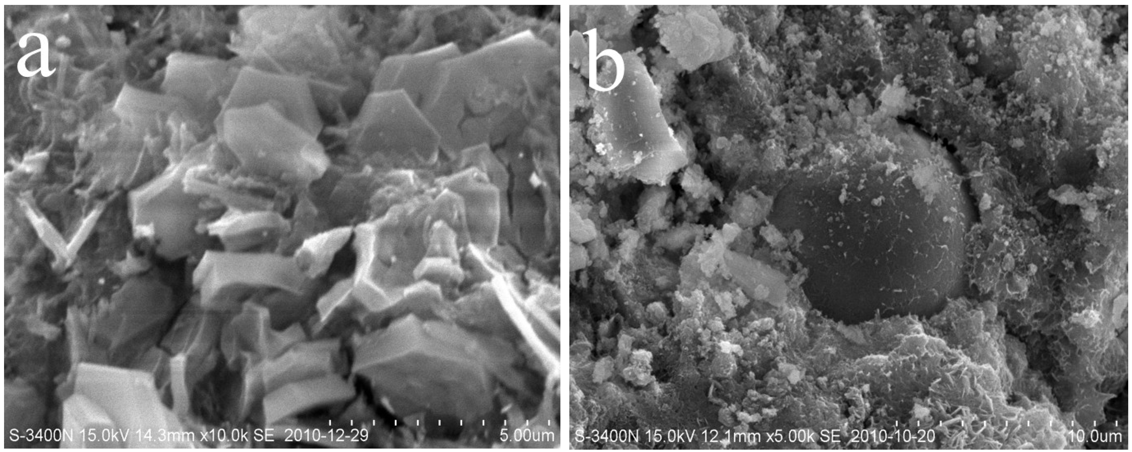 Materials 07 06620 g006