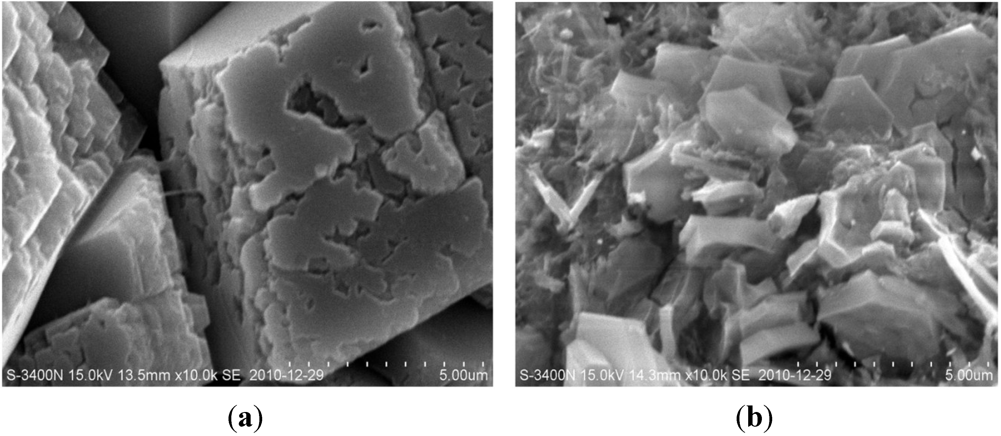 Materials 07 06646 g007 1024