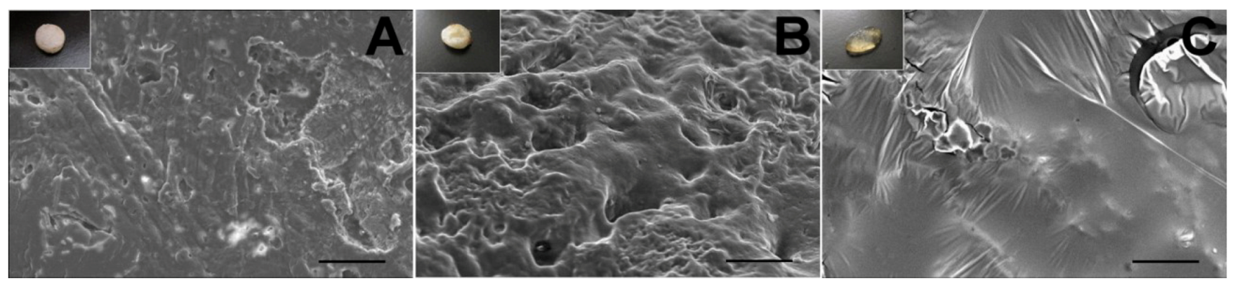 Materials 07 06660 g011