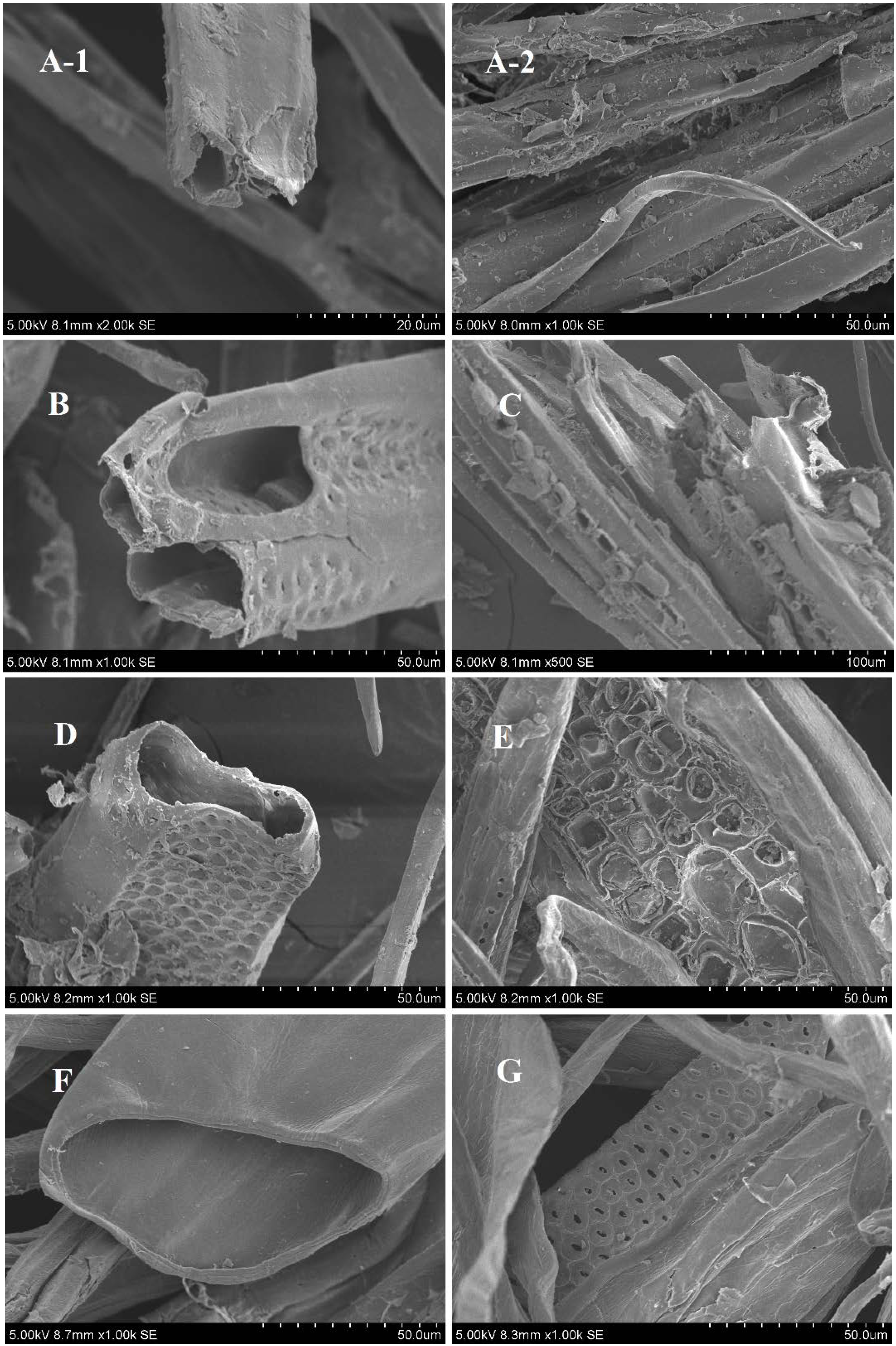 Materials 07 06733 g003