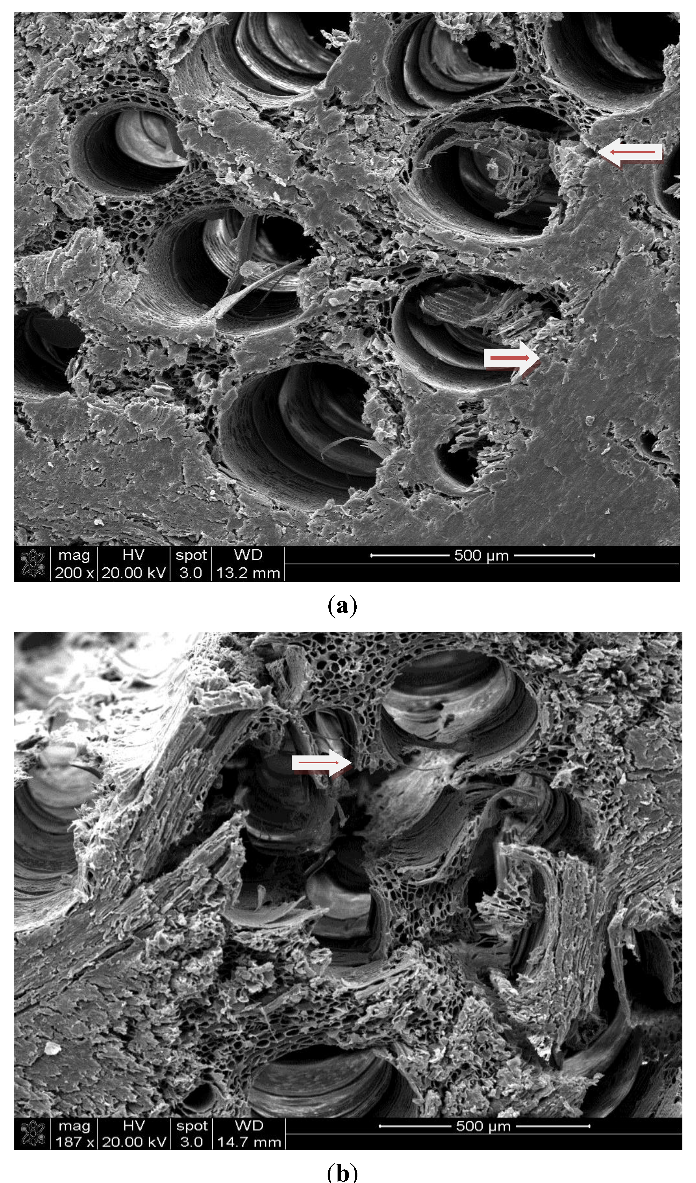 Materials 07 07314 g005 1024