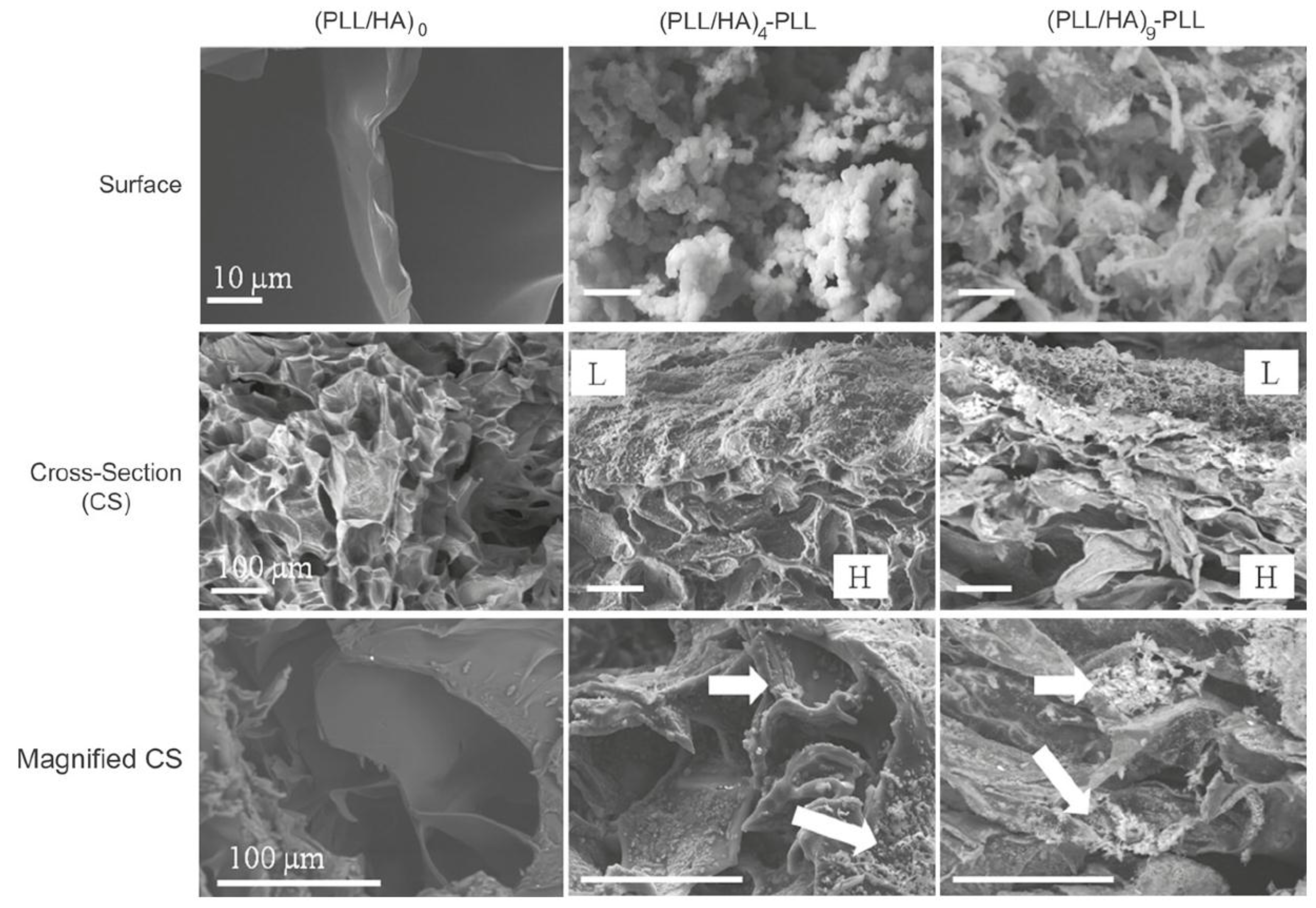 Materials 07 07472 g002 1024