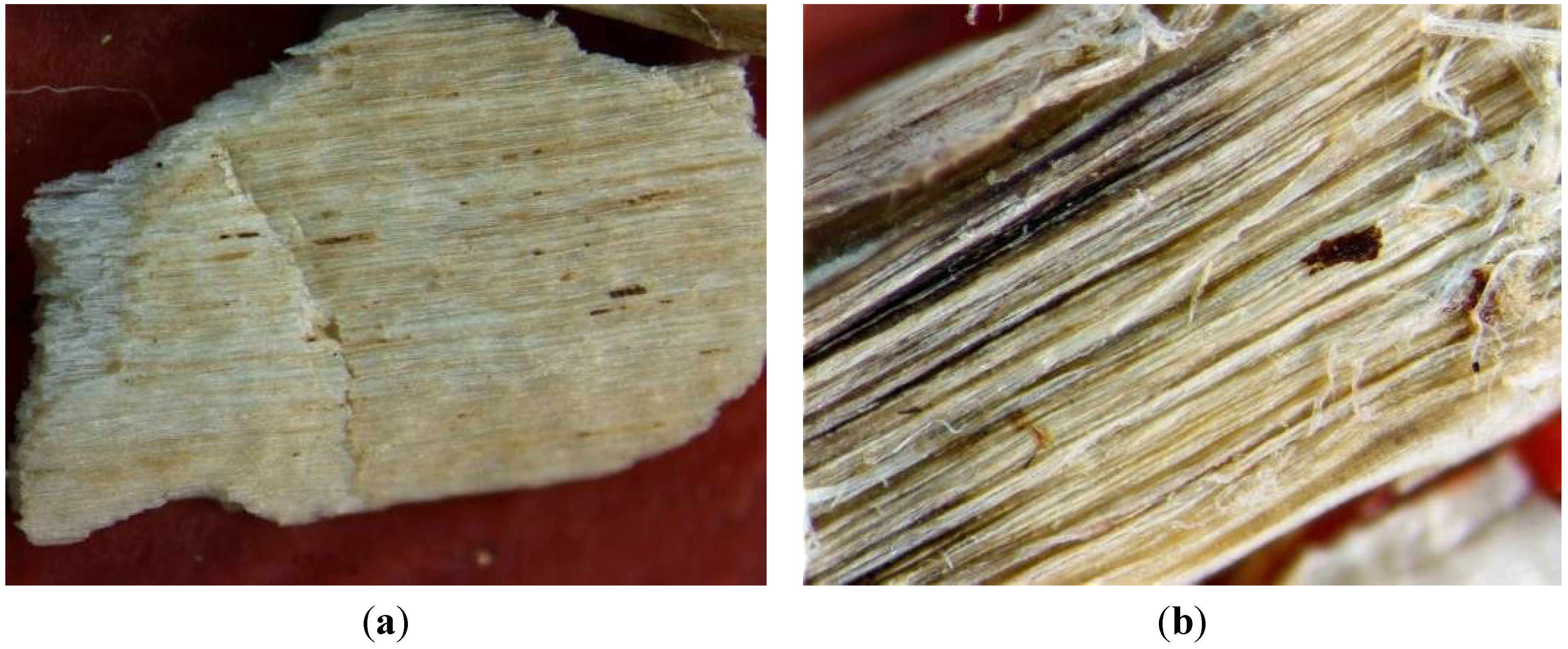 Materials 07 08131 g004a 1024