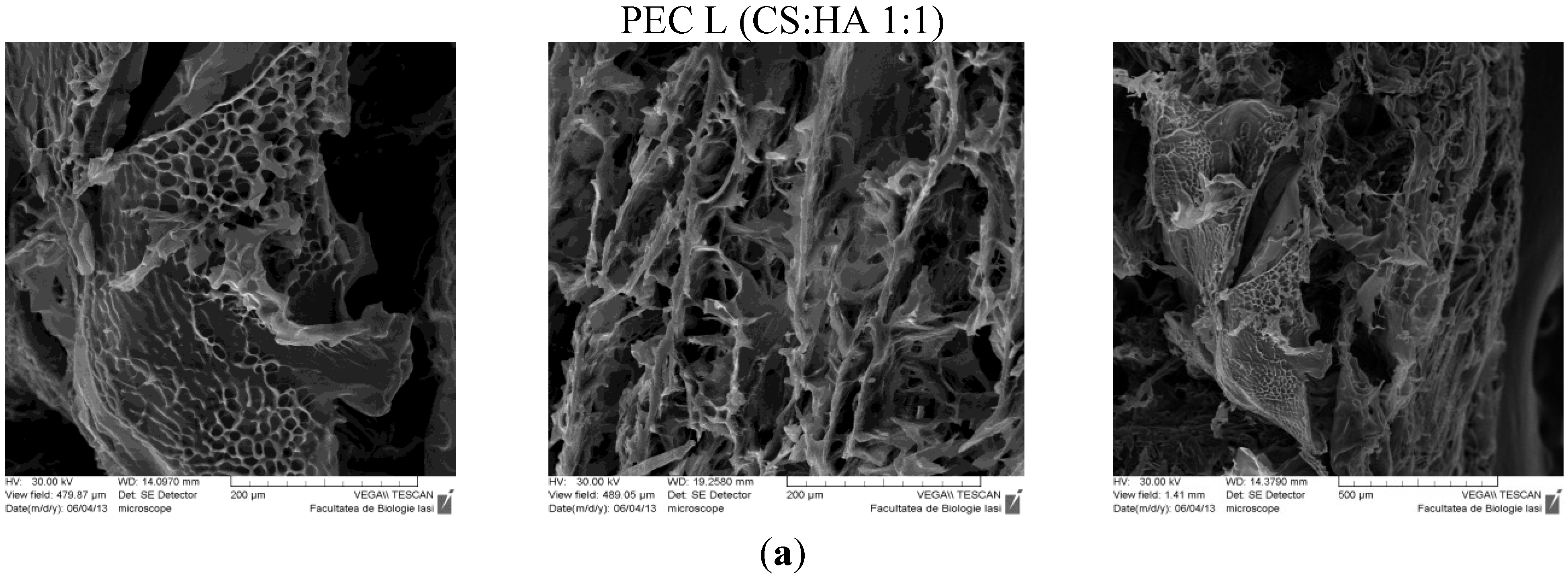 Materials 08 00317 g005a 1024