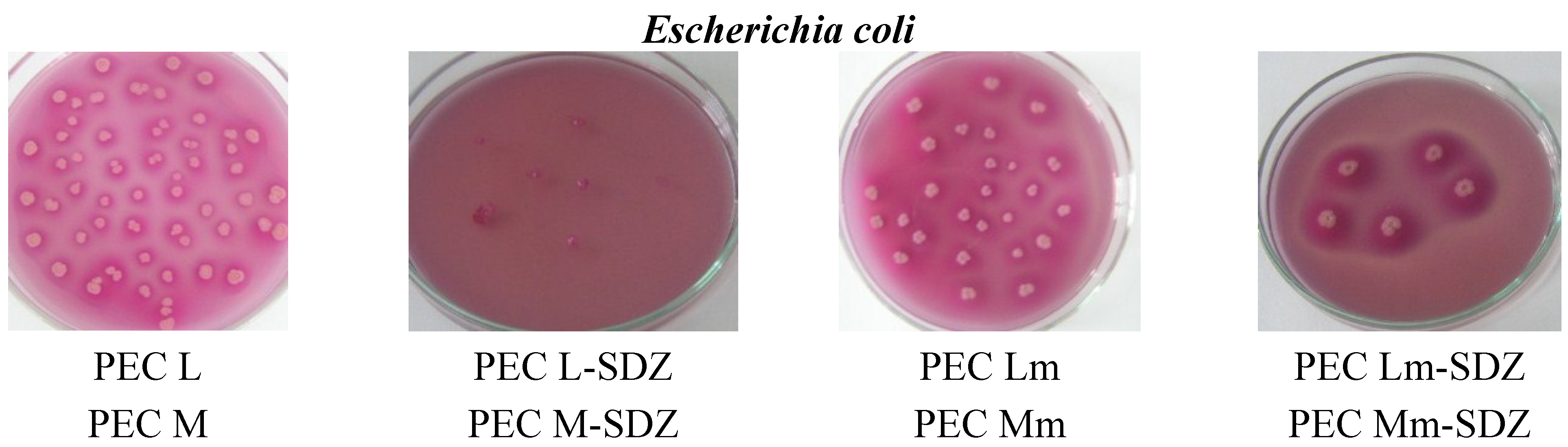 Materials 08 00317 g009a 1024