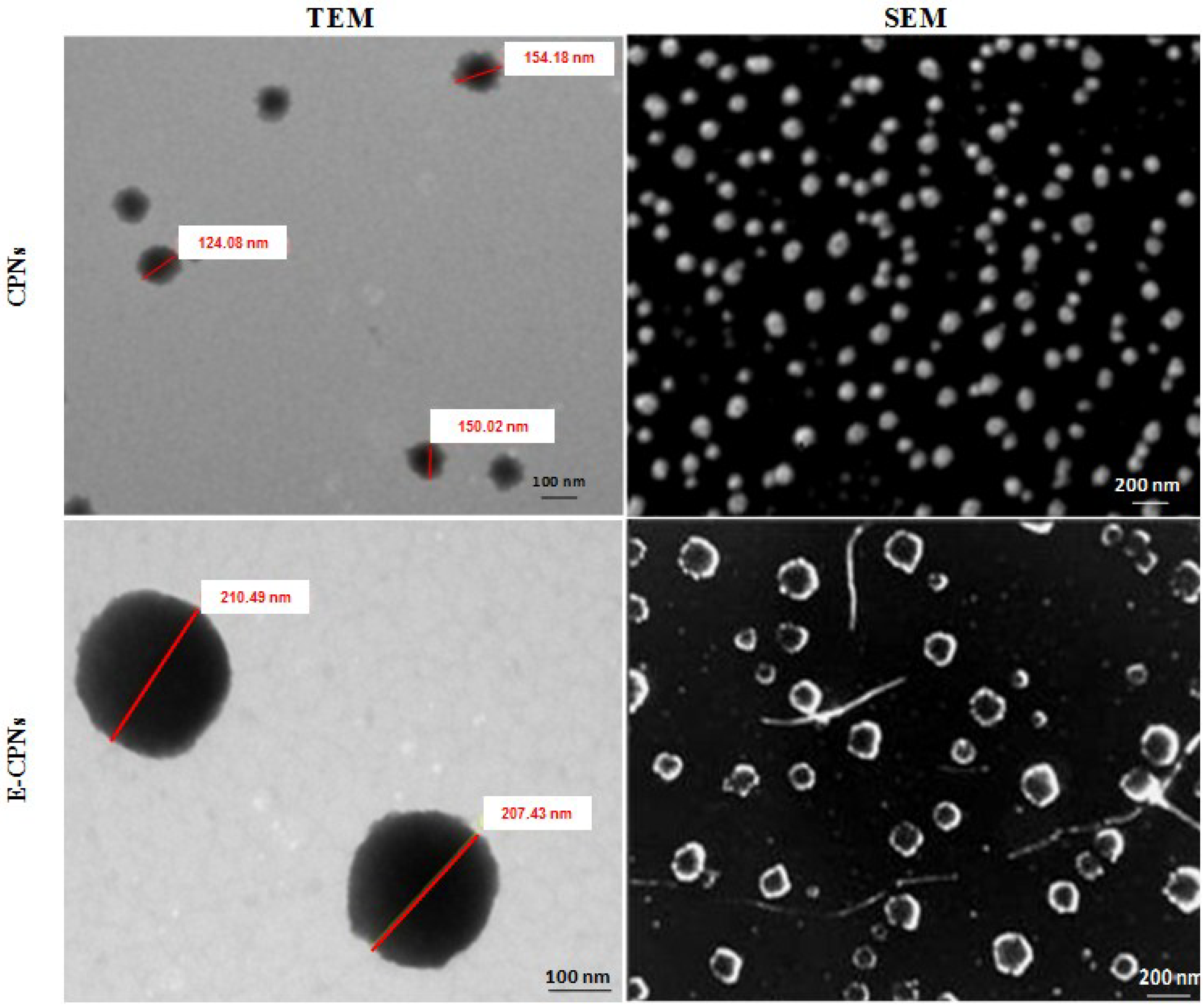 Materials 08 00832 g001 1024