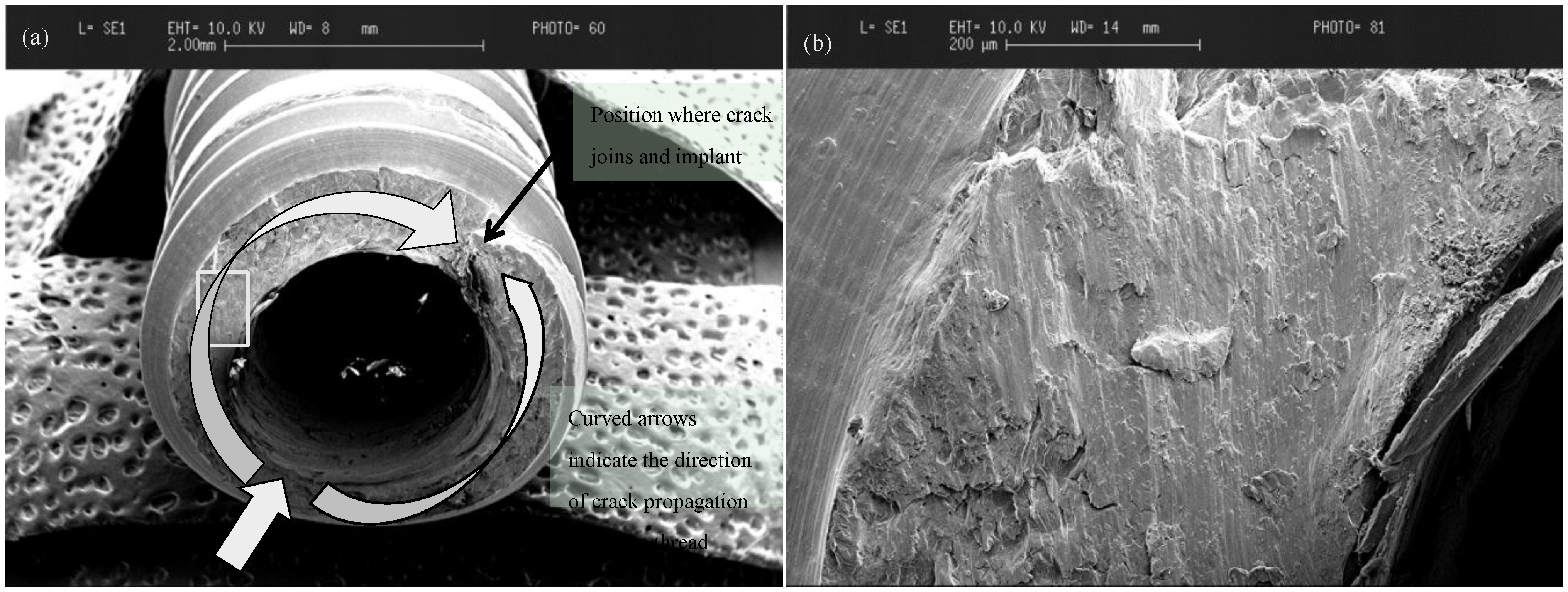 Materials 08 00932 g001