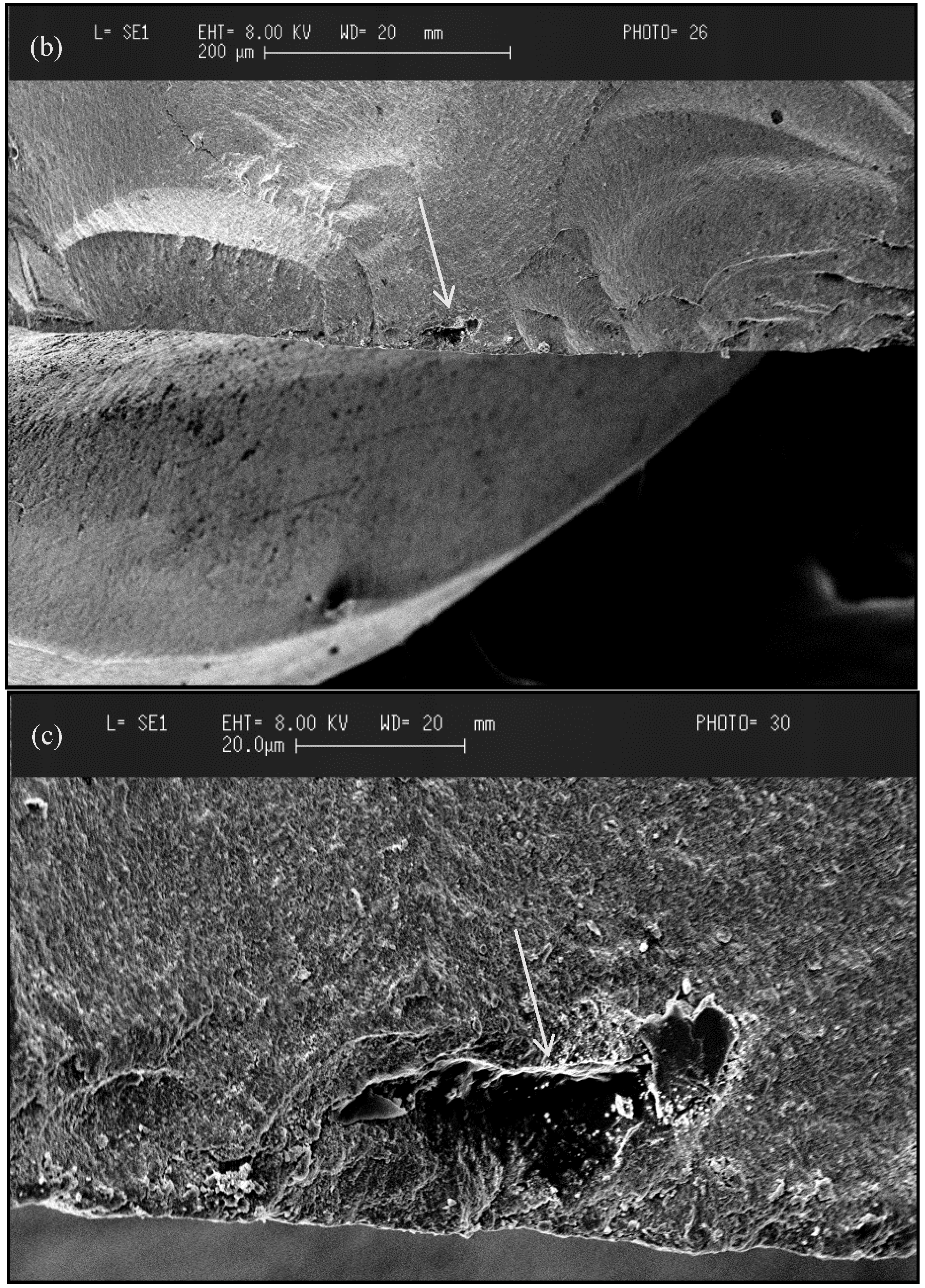 Materials 08 00932 g003b