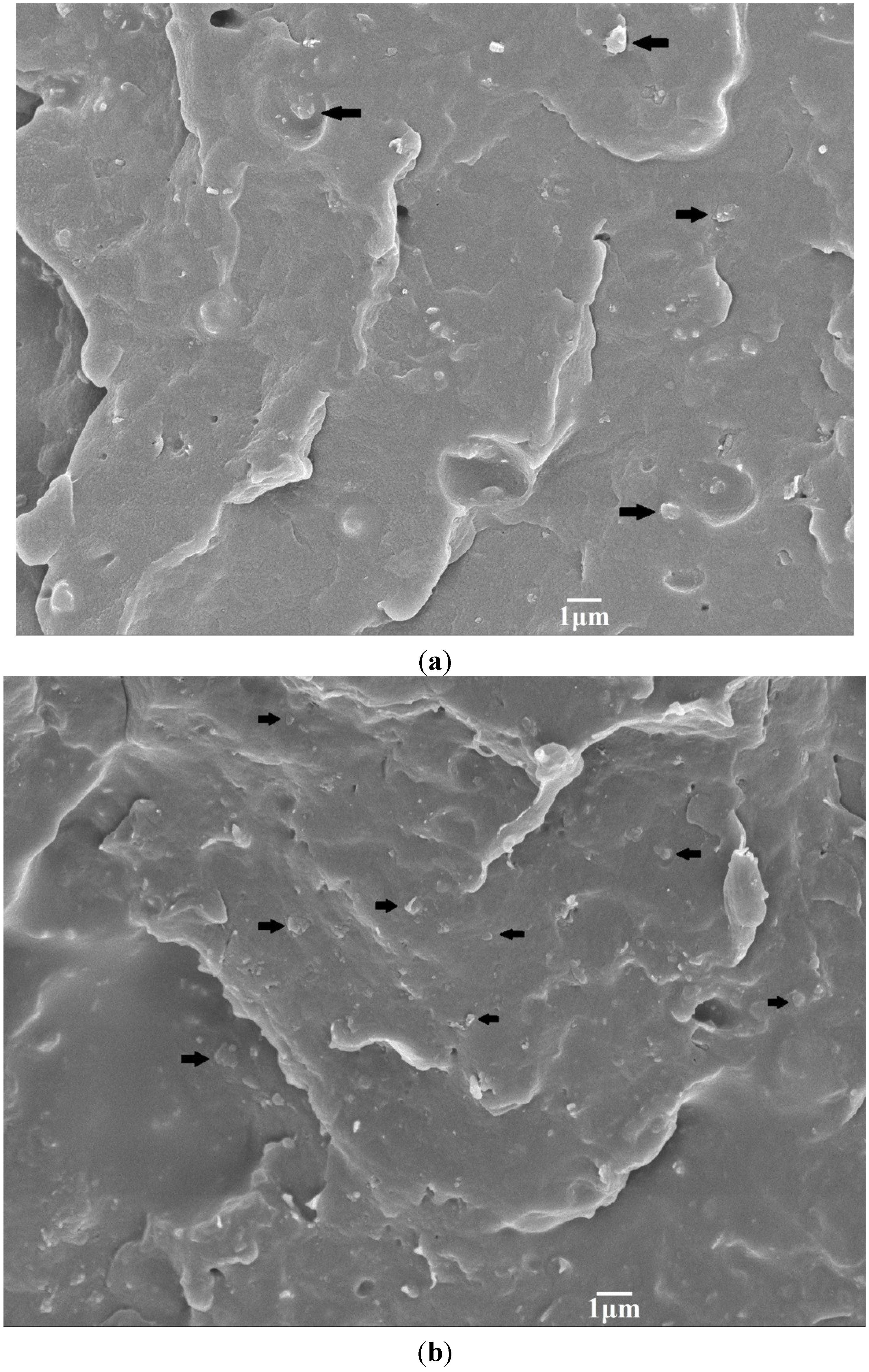 Materials 08 00992 g003