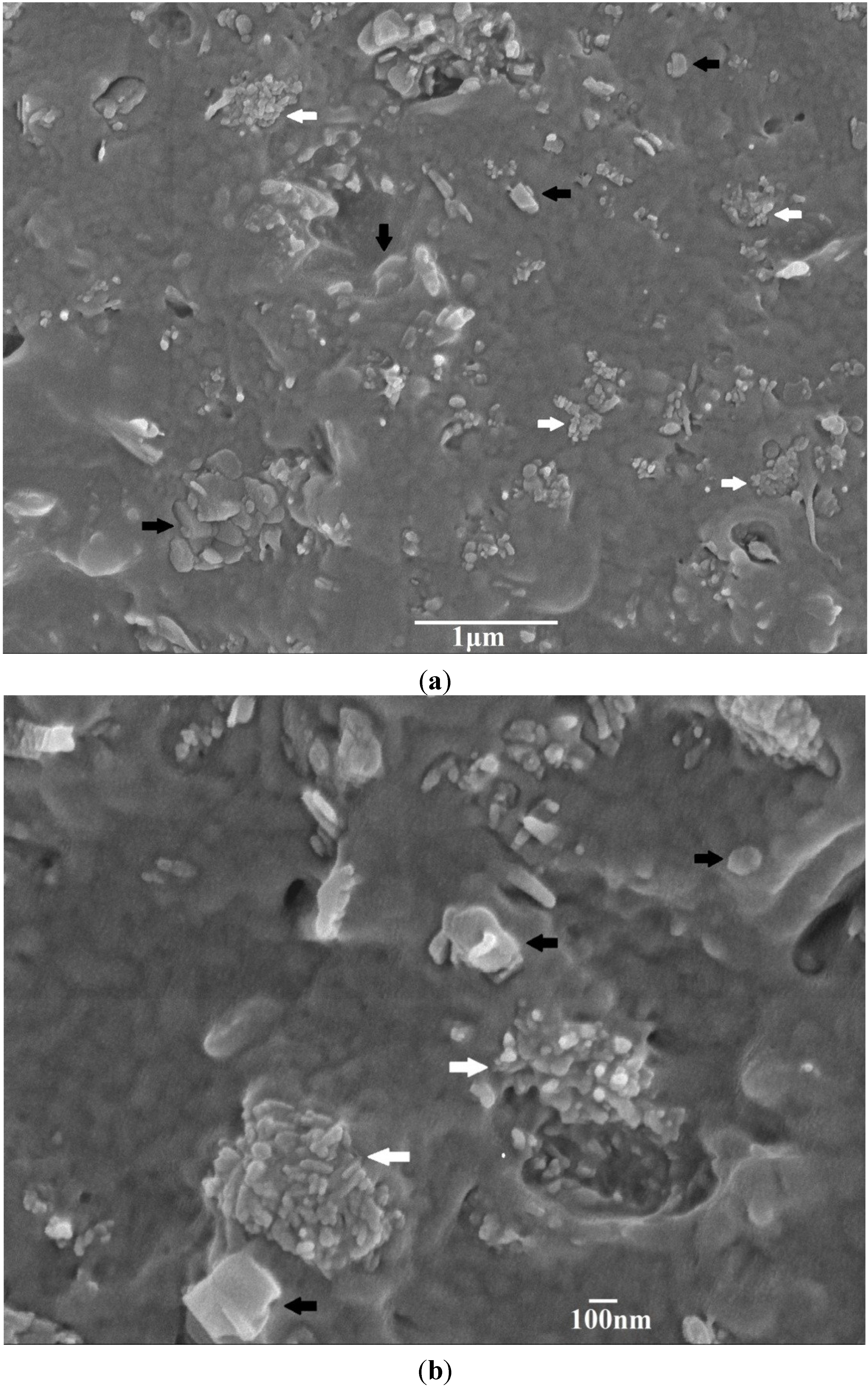 Materials 08 00992 g004