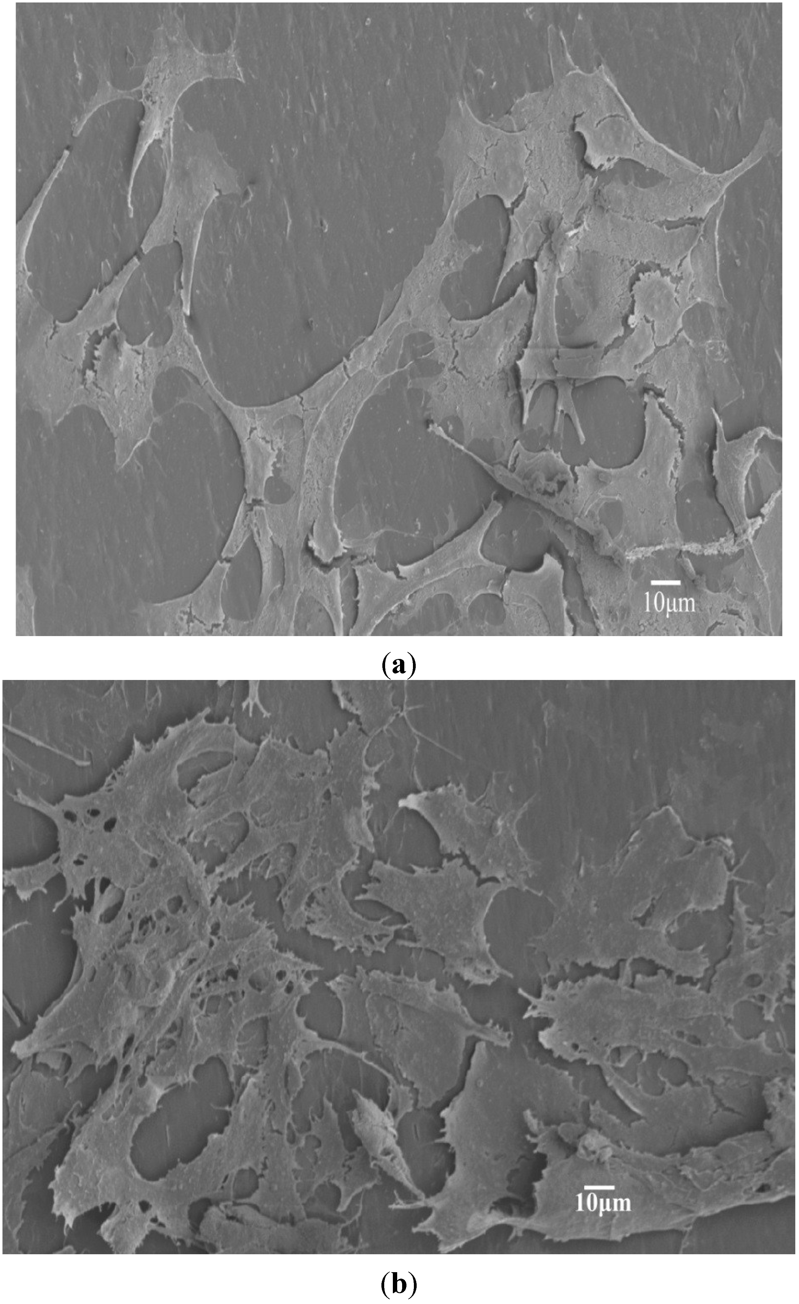 Materials 08 00992 g006