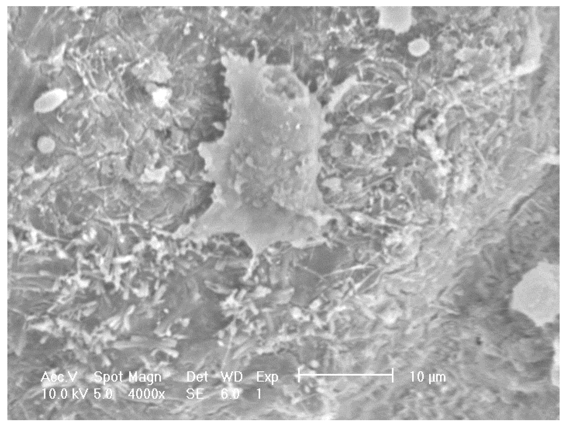 Materials 08 01074 g007