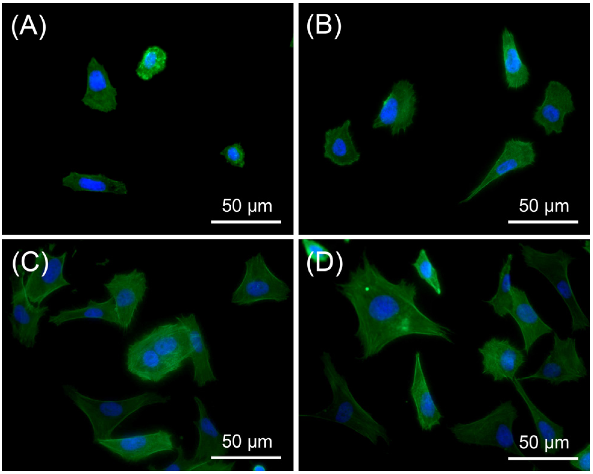 Materials 08 01150 g004 1024