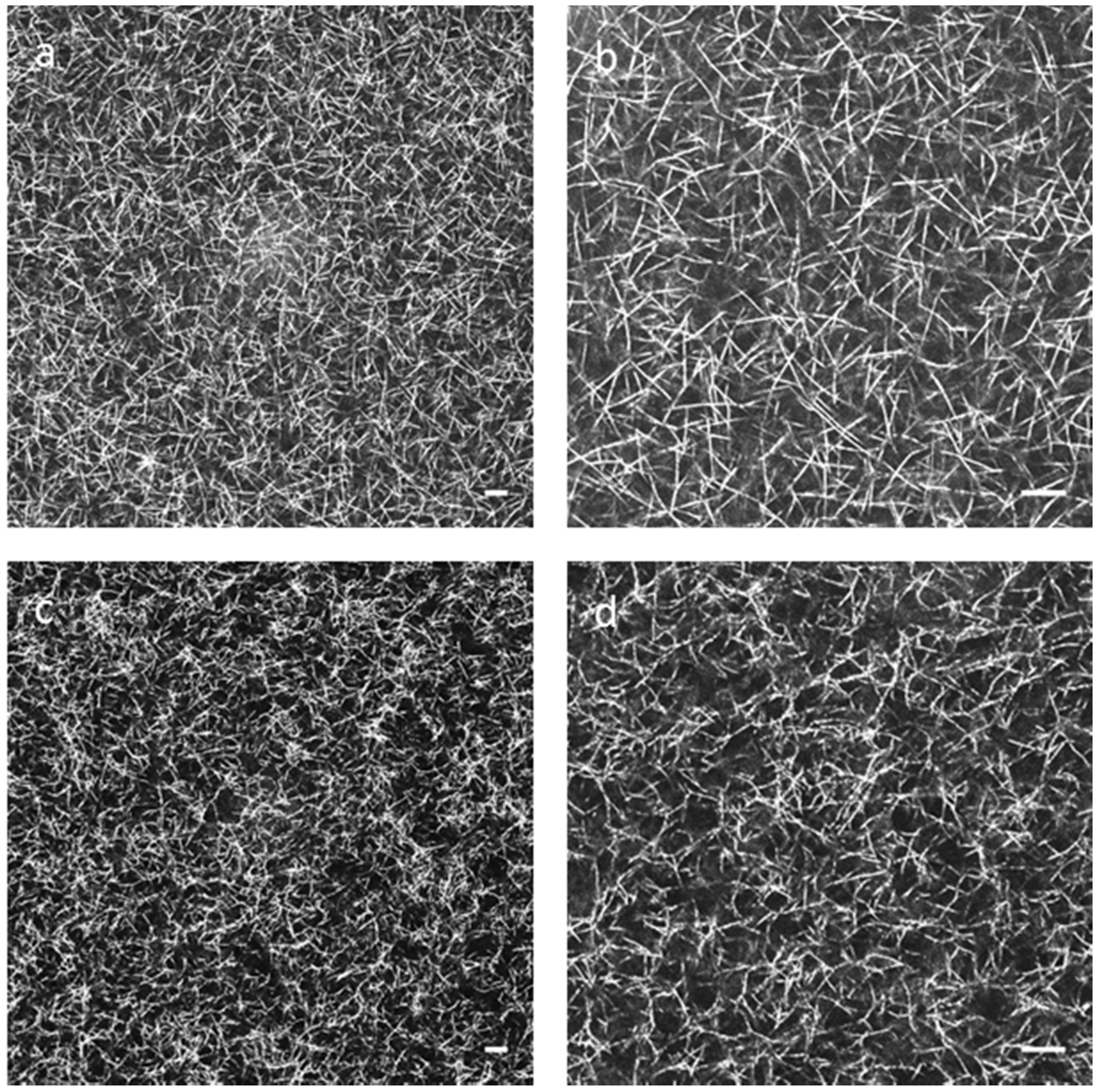 Materials 08 01636 g003