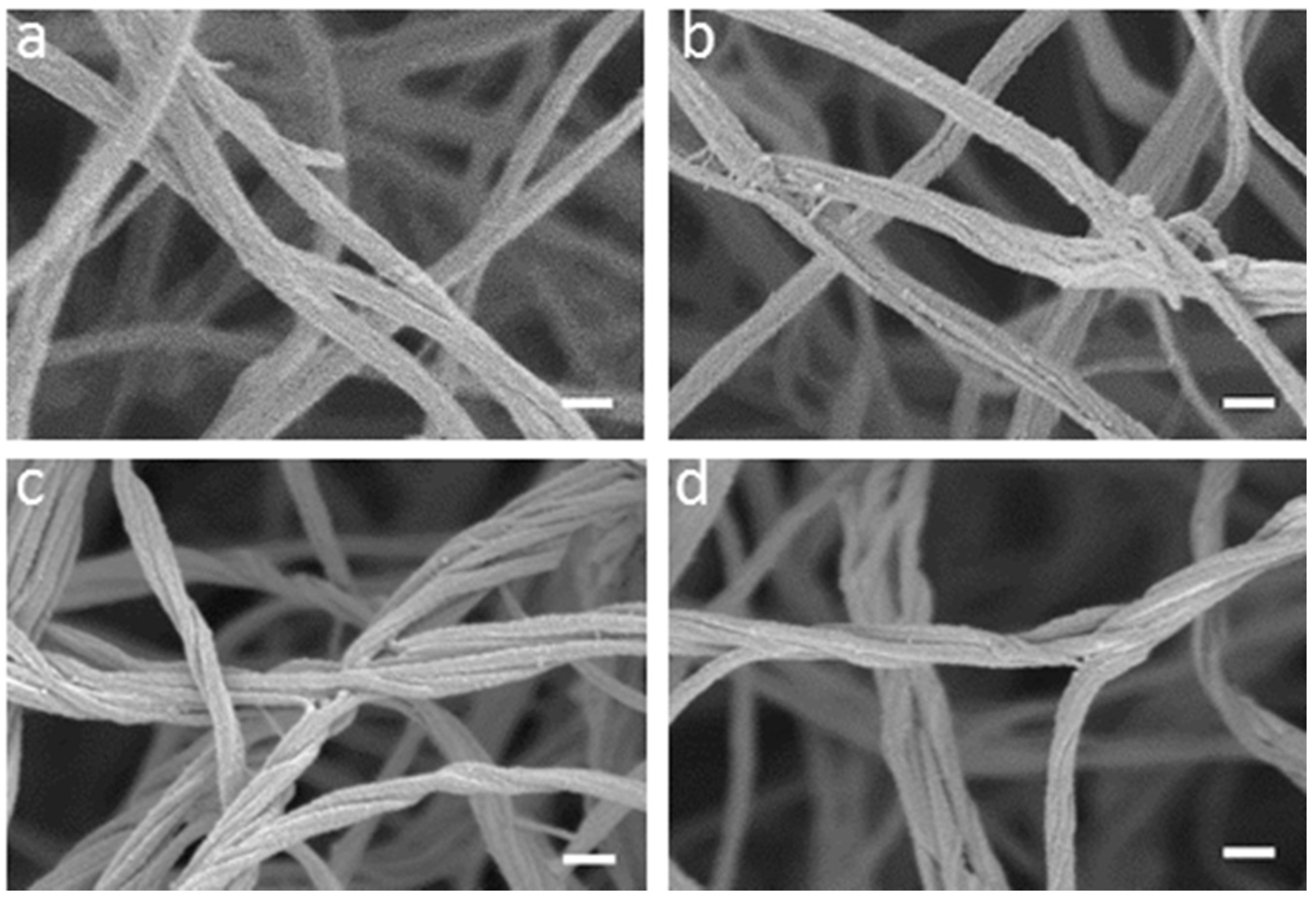 Materials 08 01636 g004