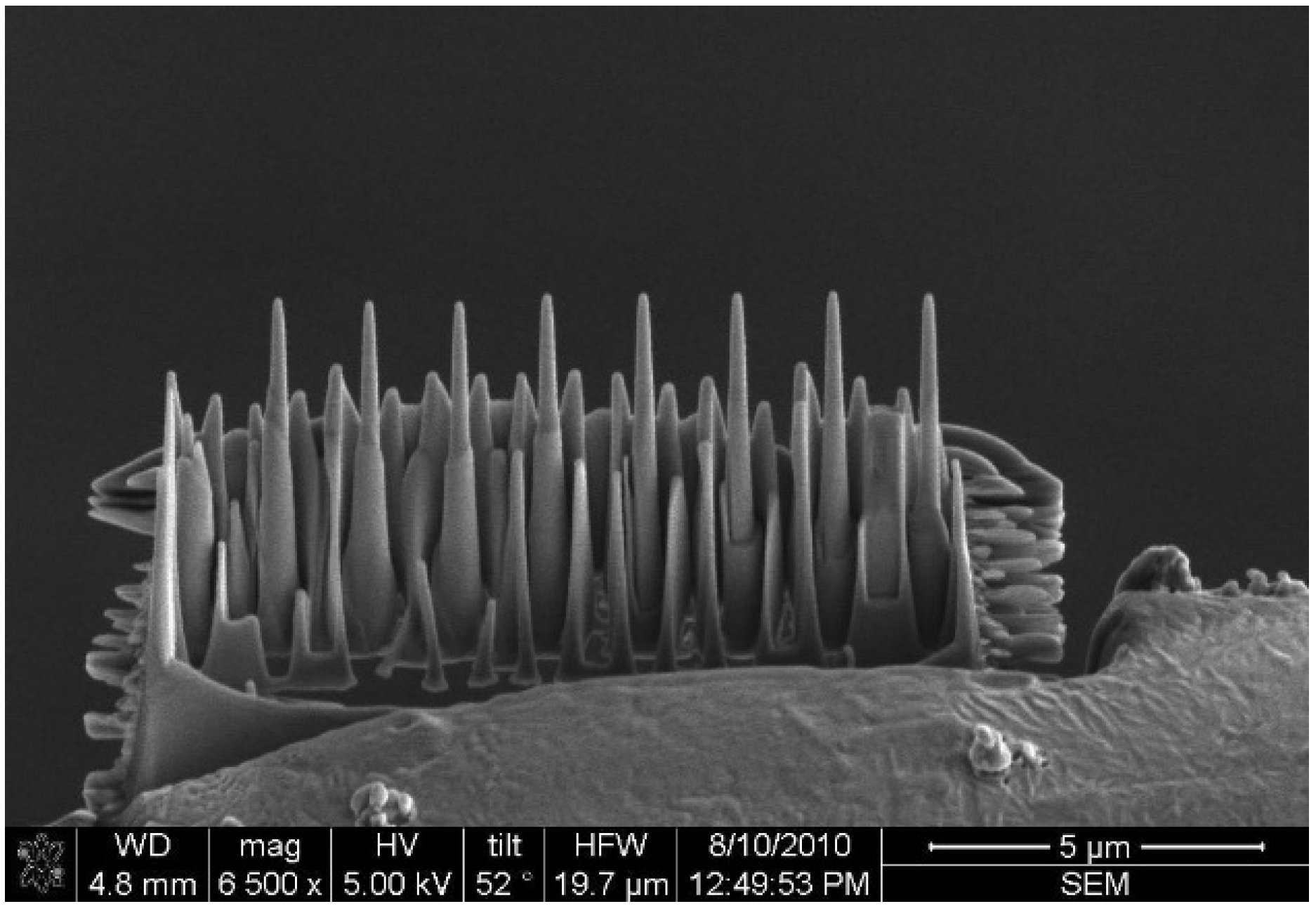 Materials 08 01831 g001