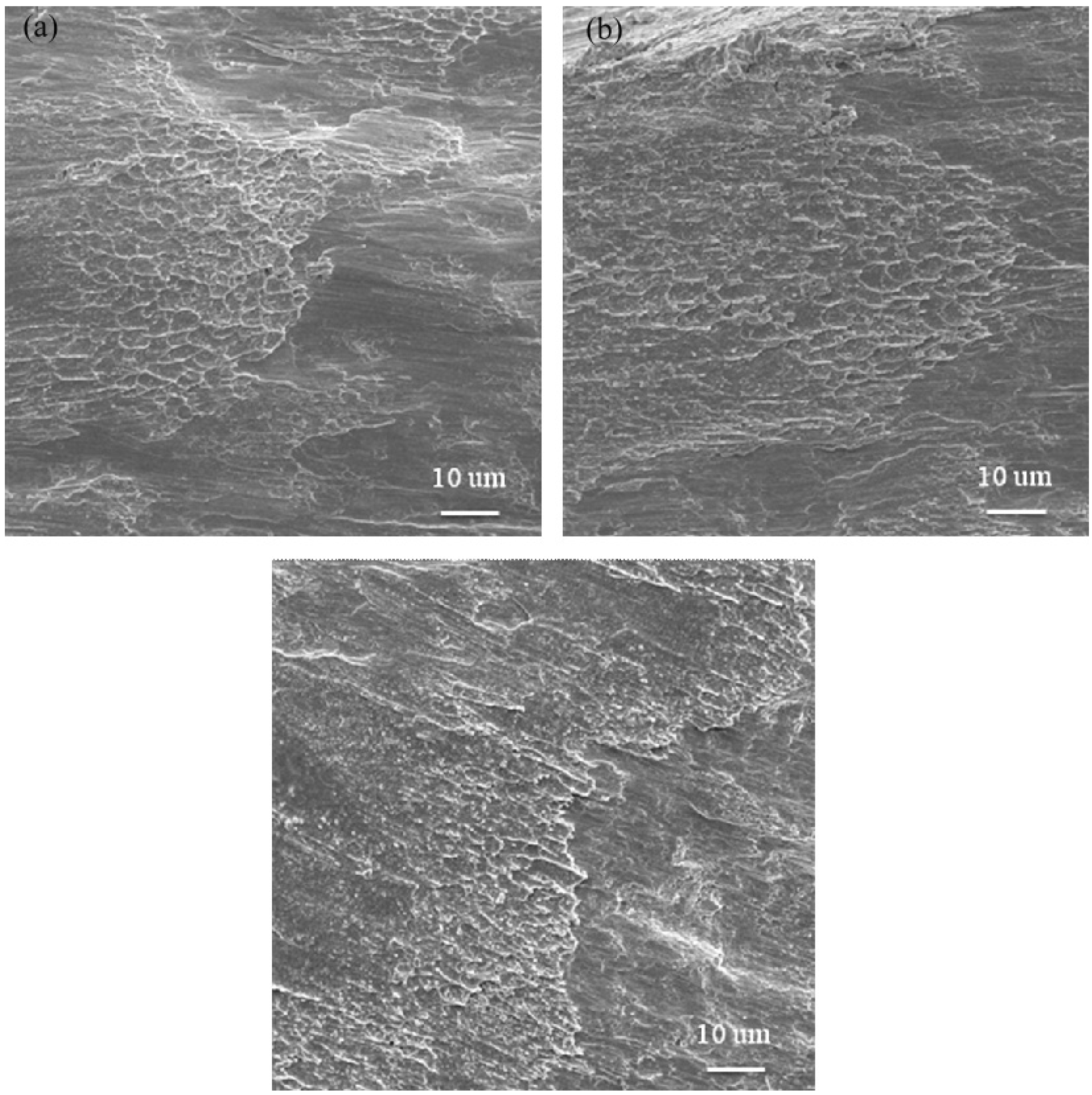 Materials 08 01831 g007
