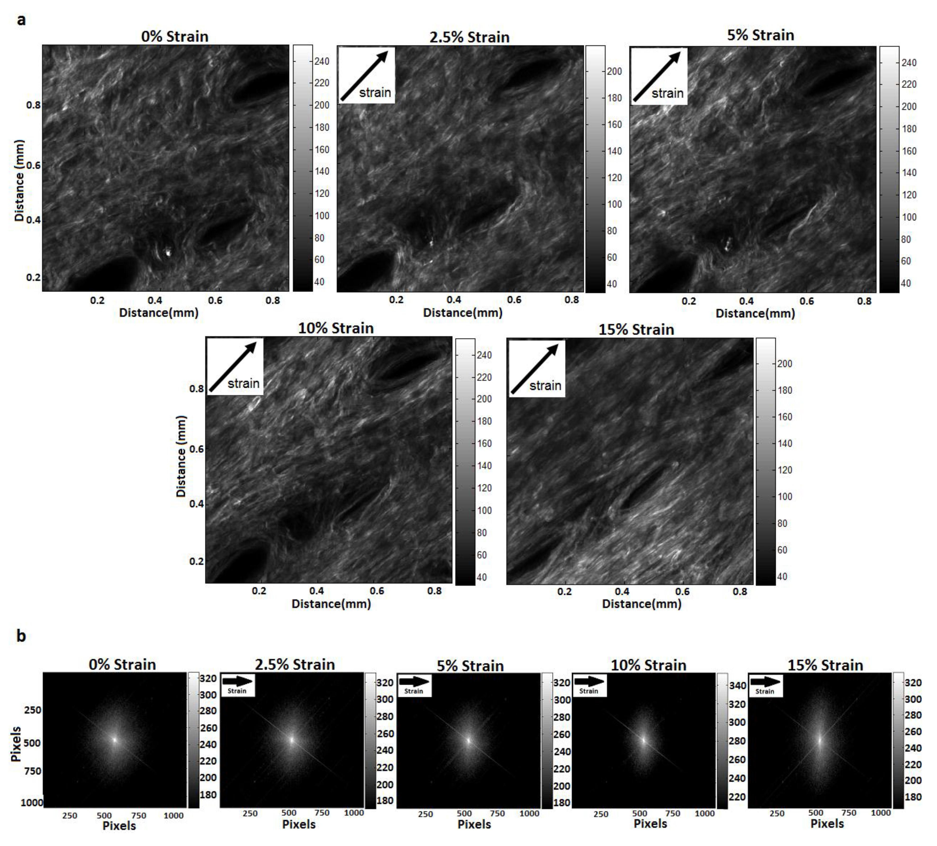 Materials 08 01841 g002