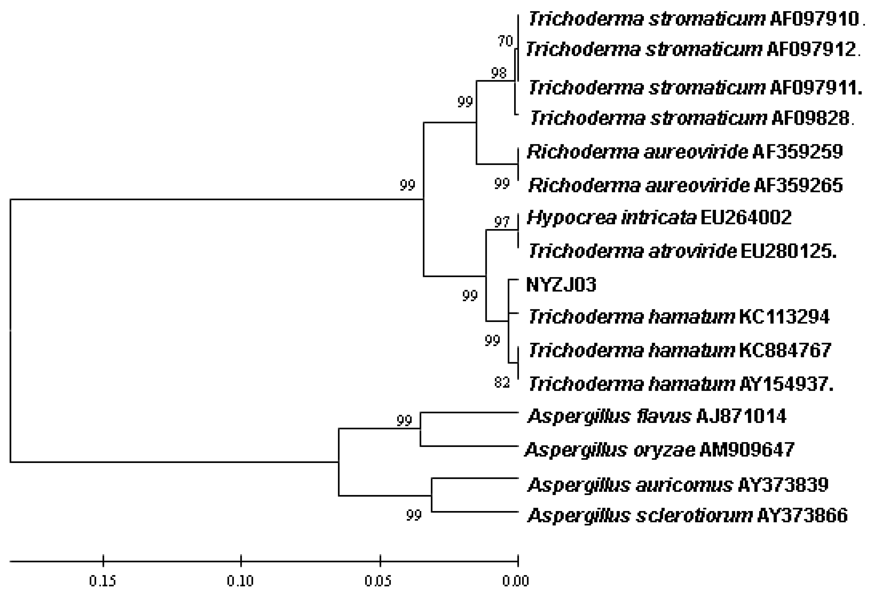 Materials 08 02043 g001