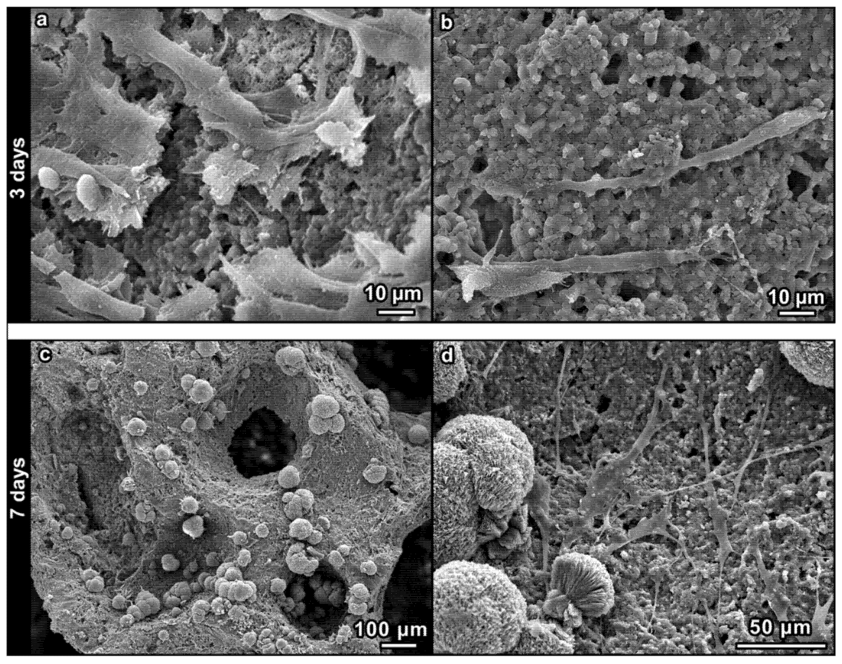 Materials 08 02480 g007