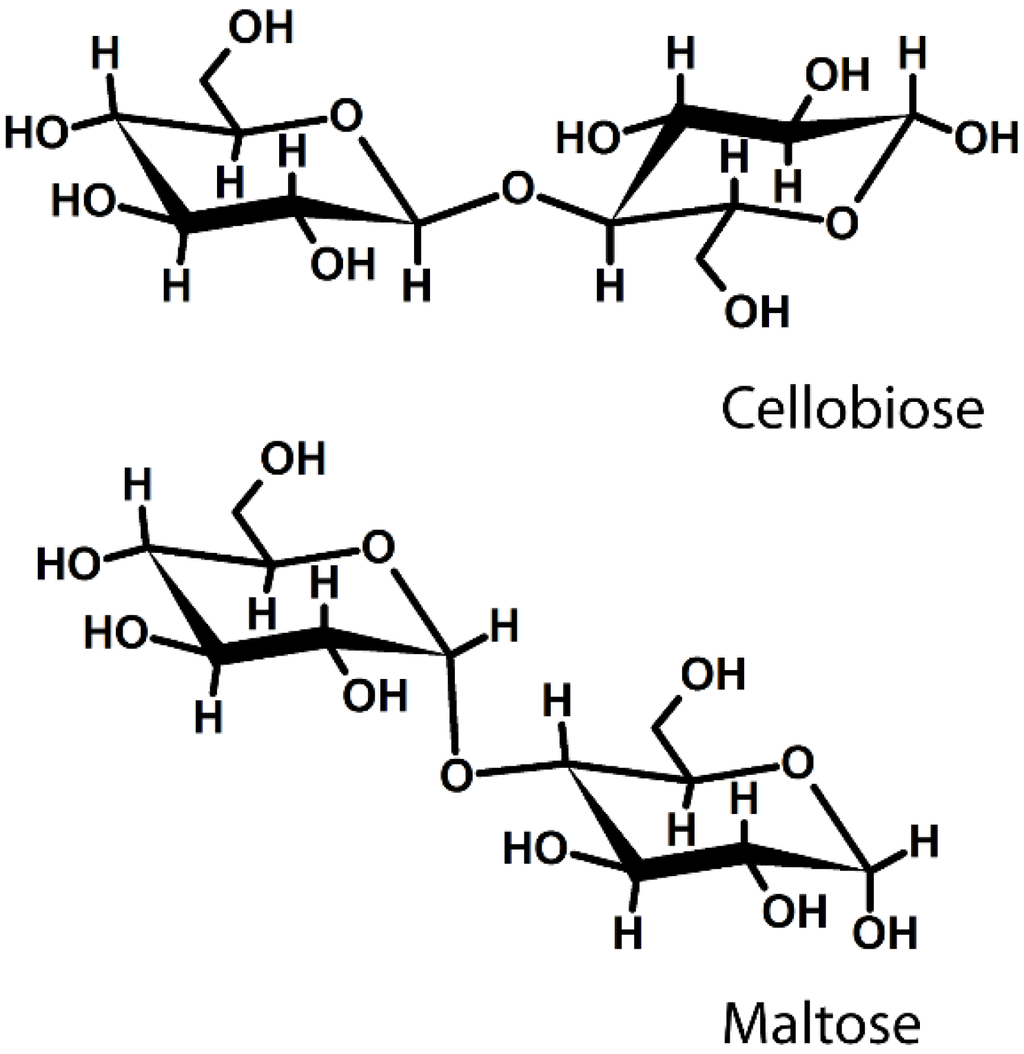 Polysaccharides for the Delivery of Antitumor Drugs