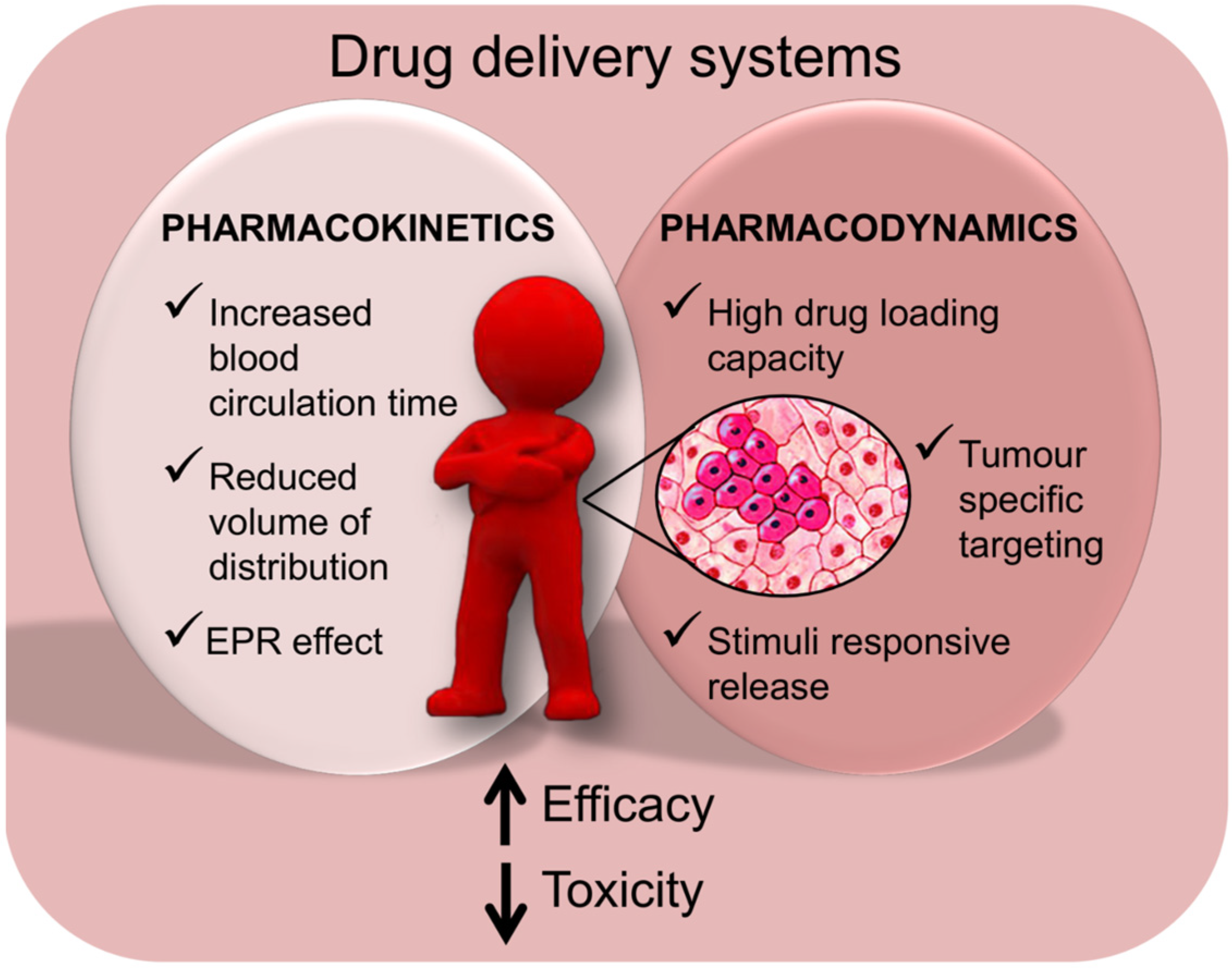 Polysaccharides for the Delivery of Antitumor Drugs
