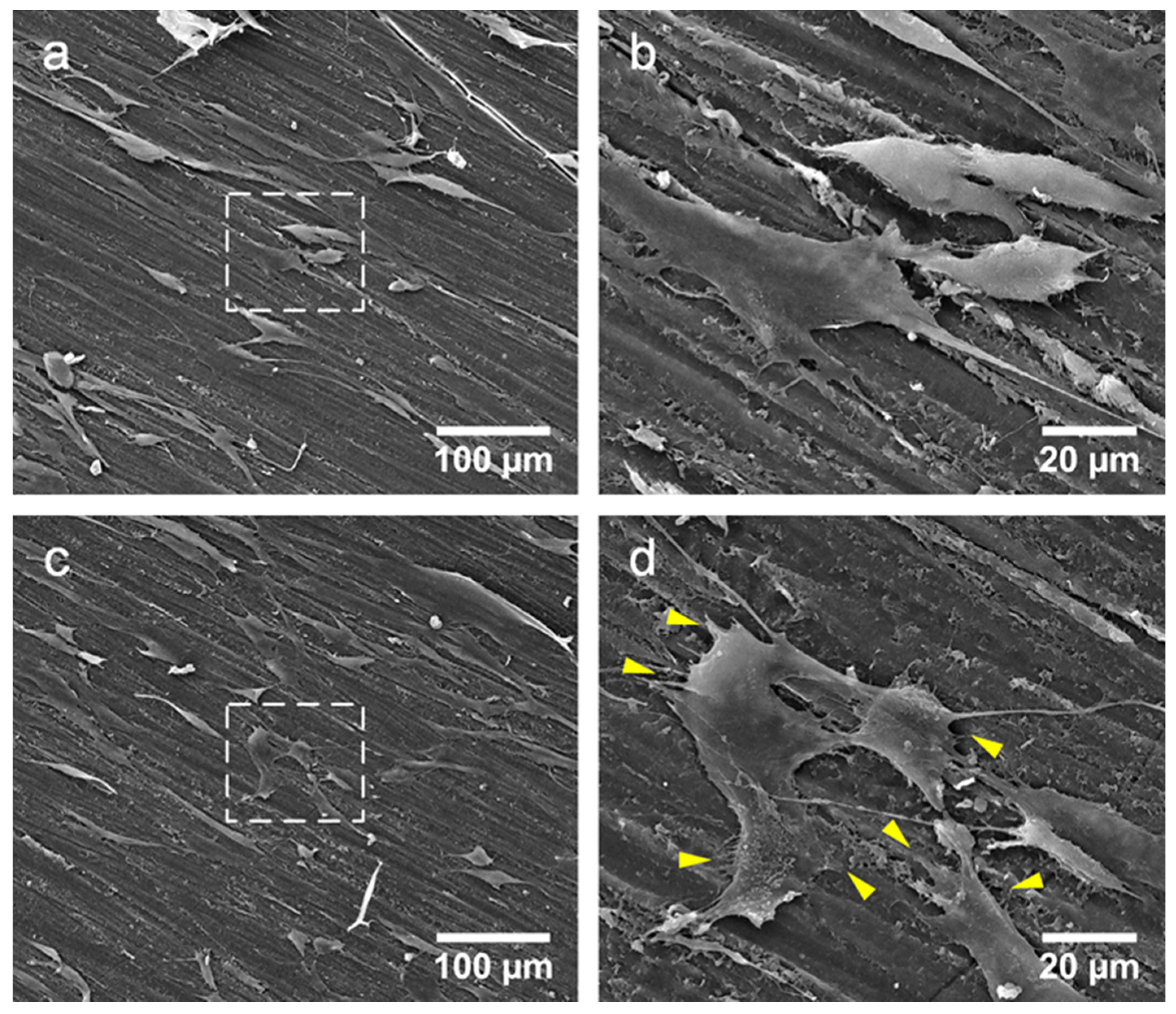 Materials 08 02616 g013