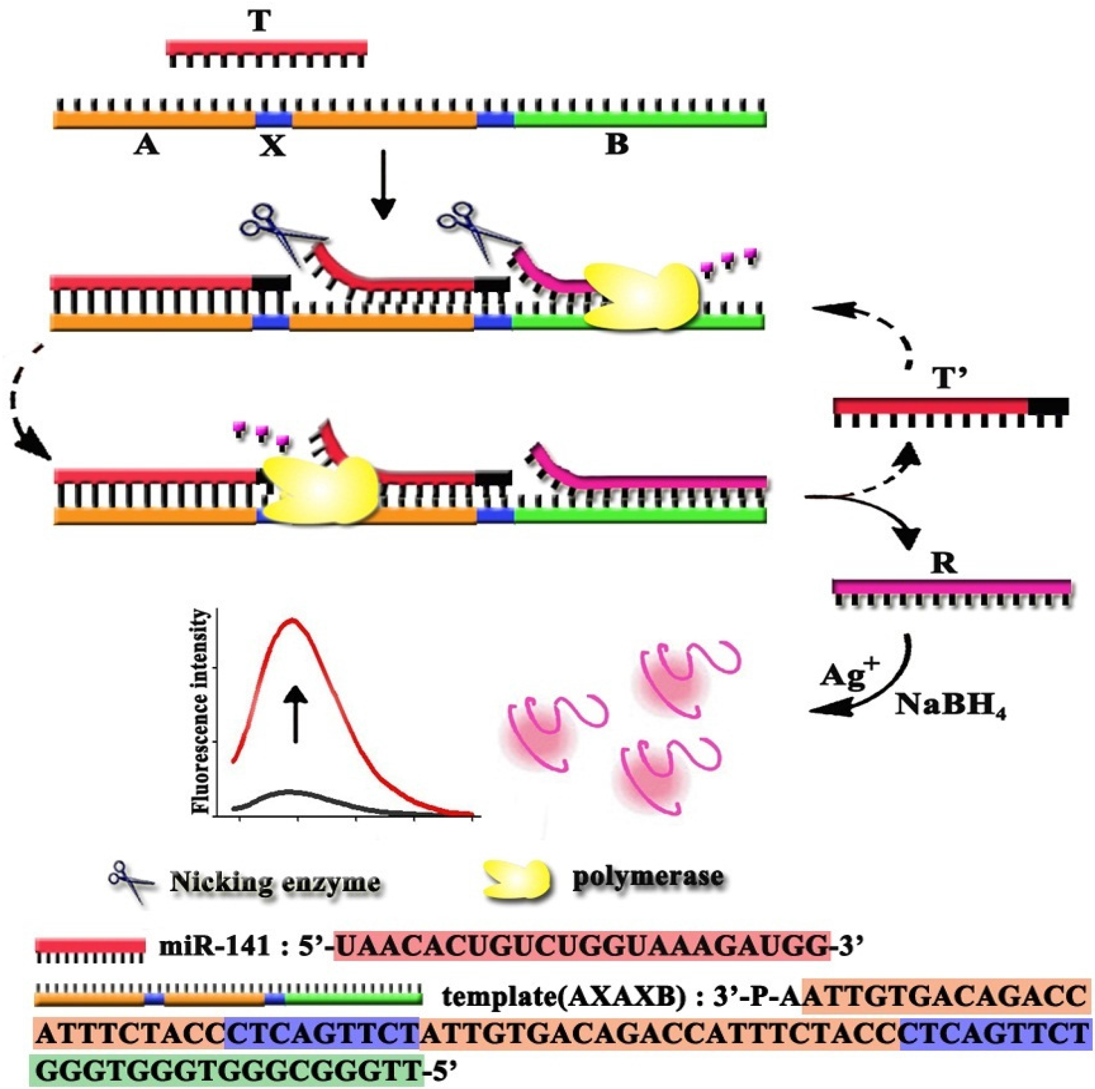 Materials 08 02809 g001 1024