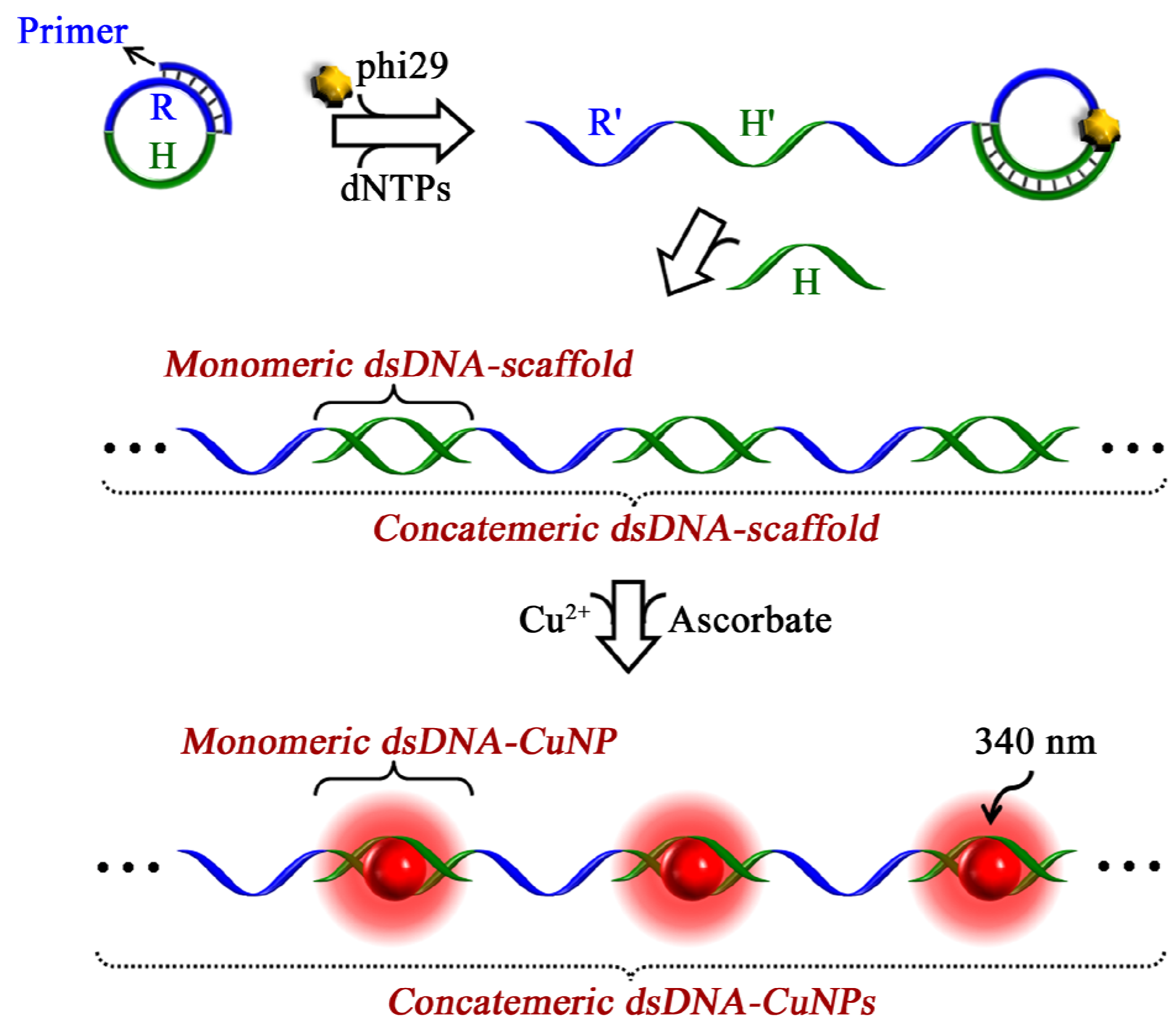Materials 08 02809 g003 1024