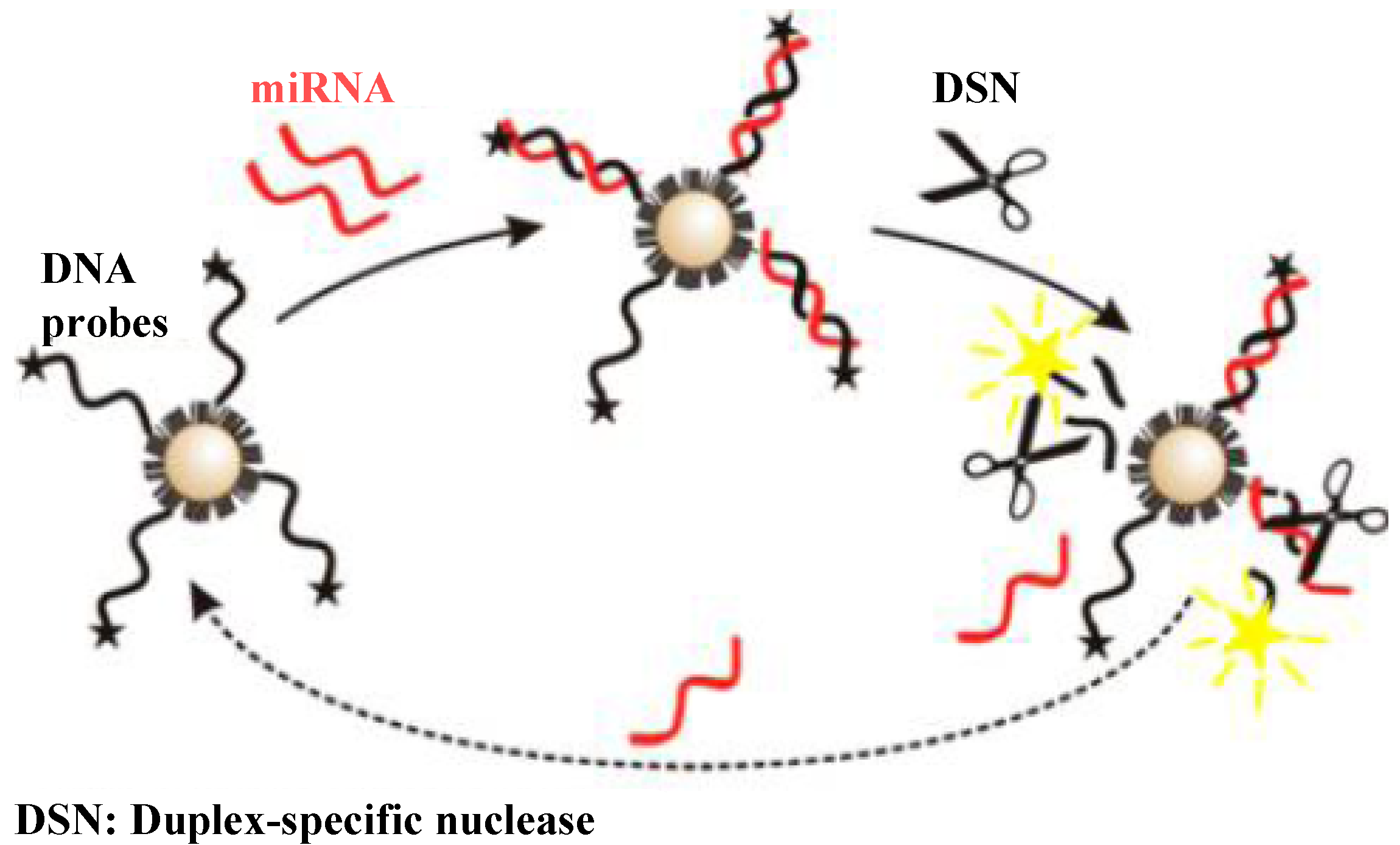 Materials 08 02809 g004 1024