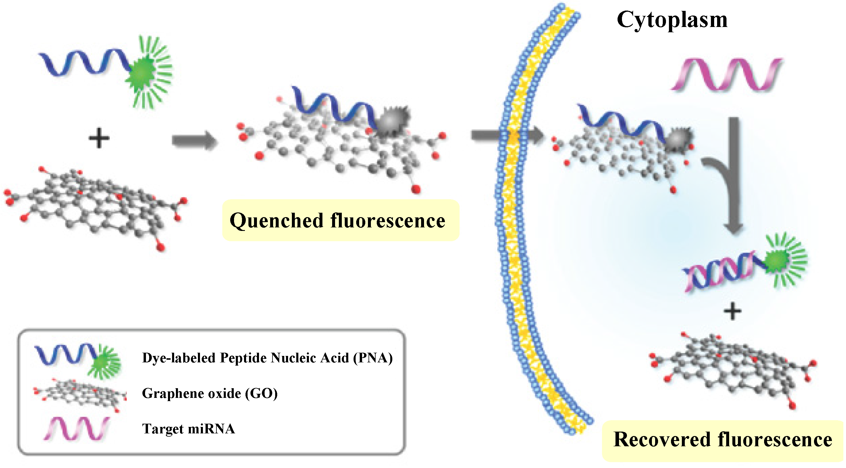 Materials 08 02809 g012 1024