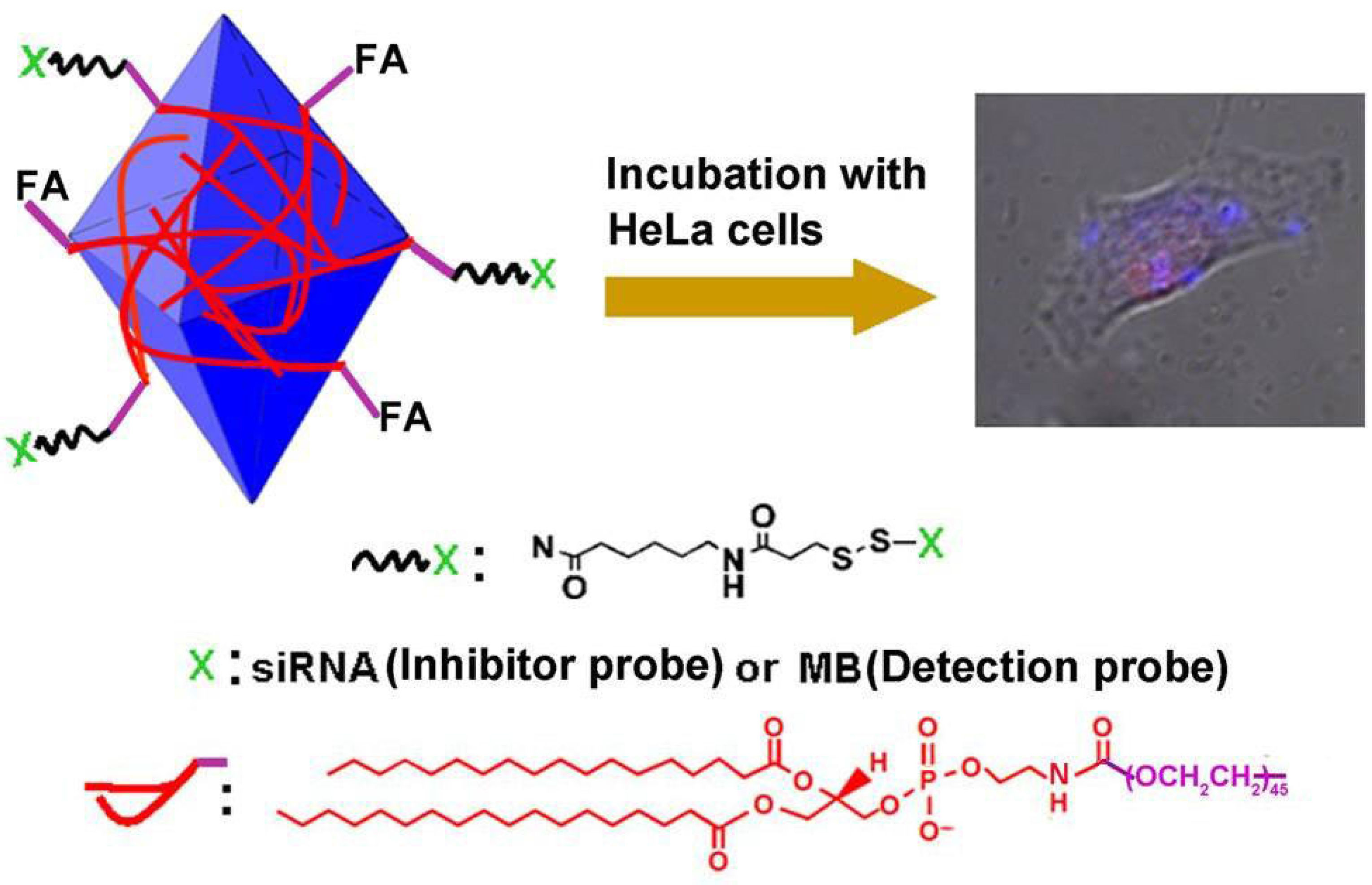Materials 08 02809 g013 1024