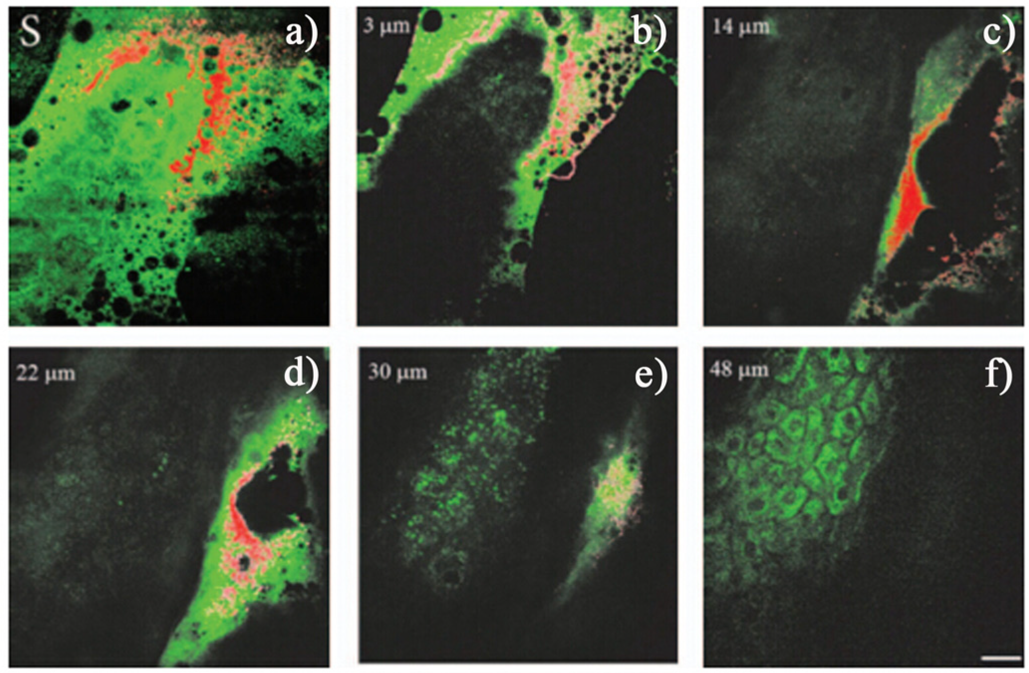 Materials 08 03101 g004 1024