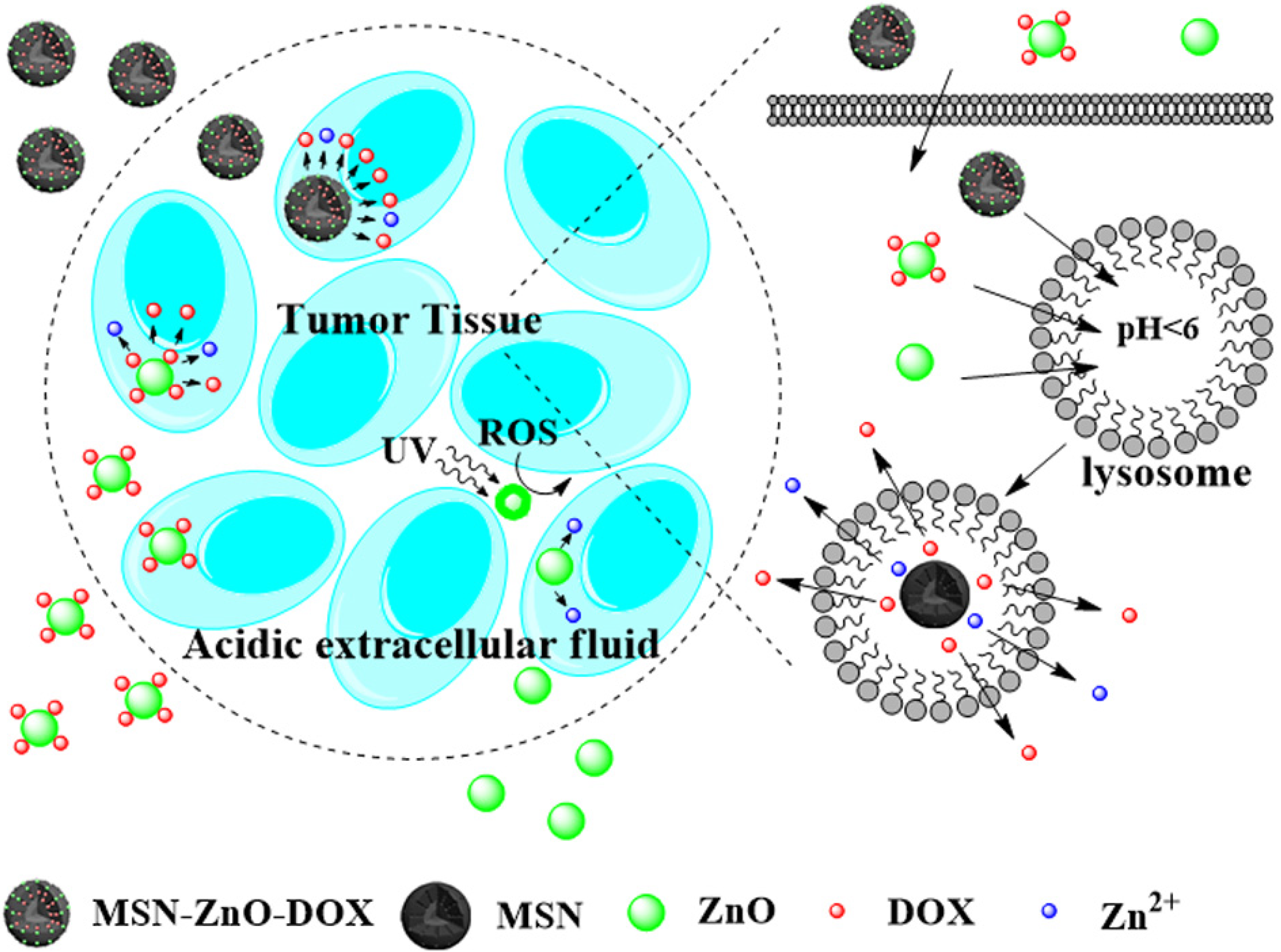 Materials 08 03101 g007 1024