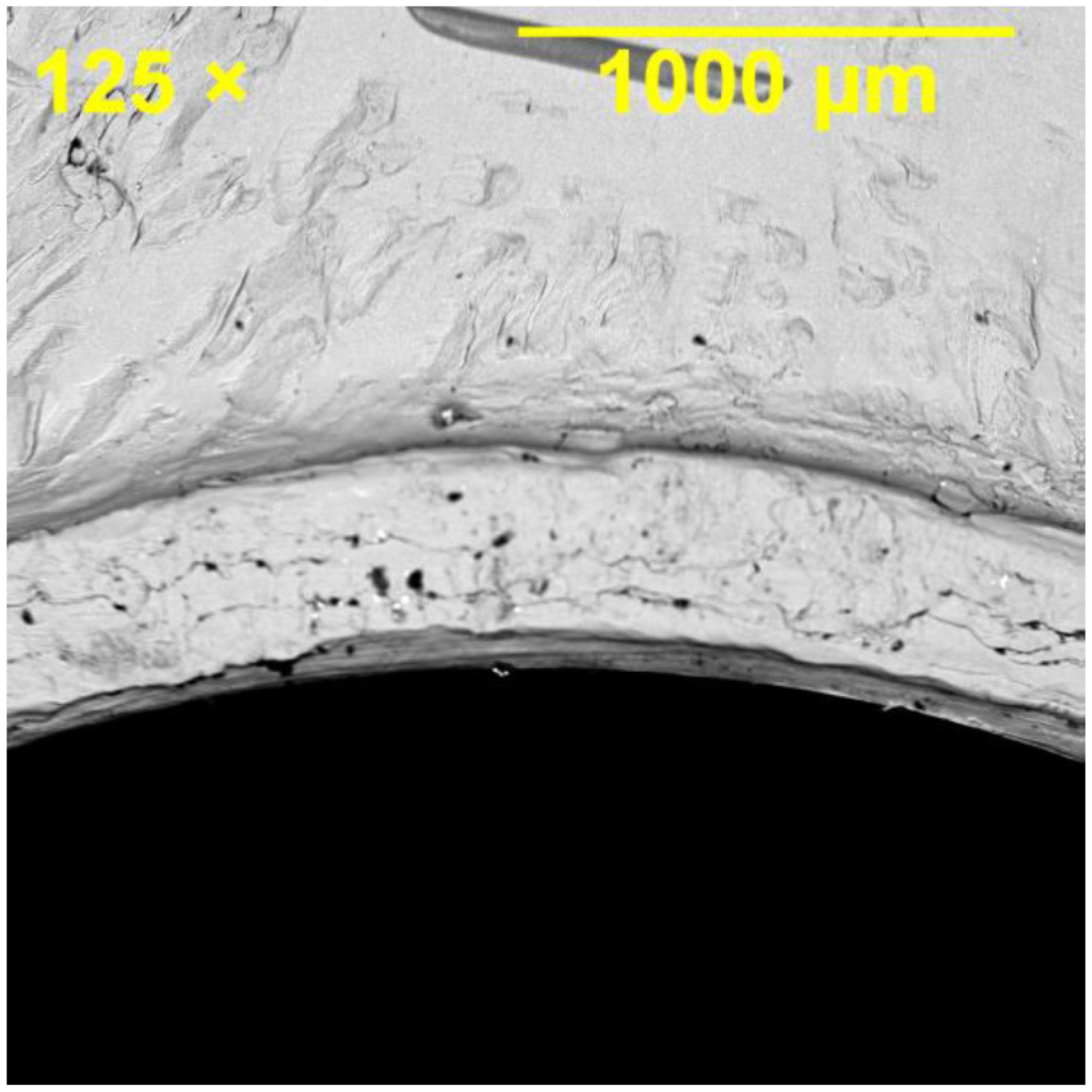 Materials 08 03195 g012 1024