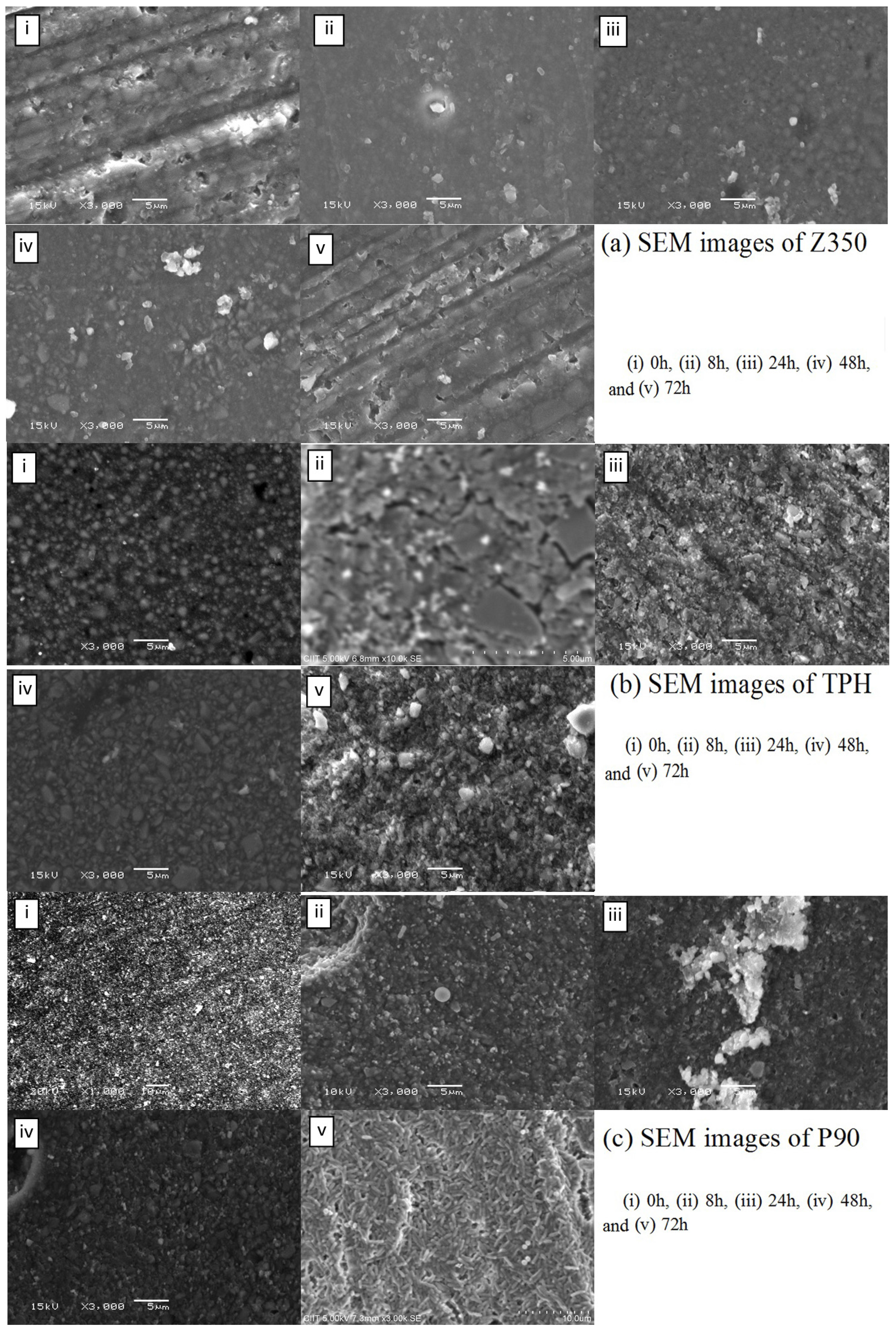 Materials 08 03221 g006 1024
