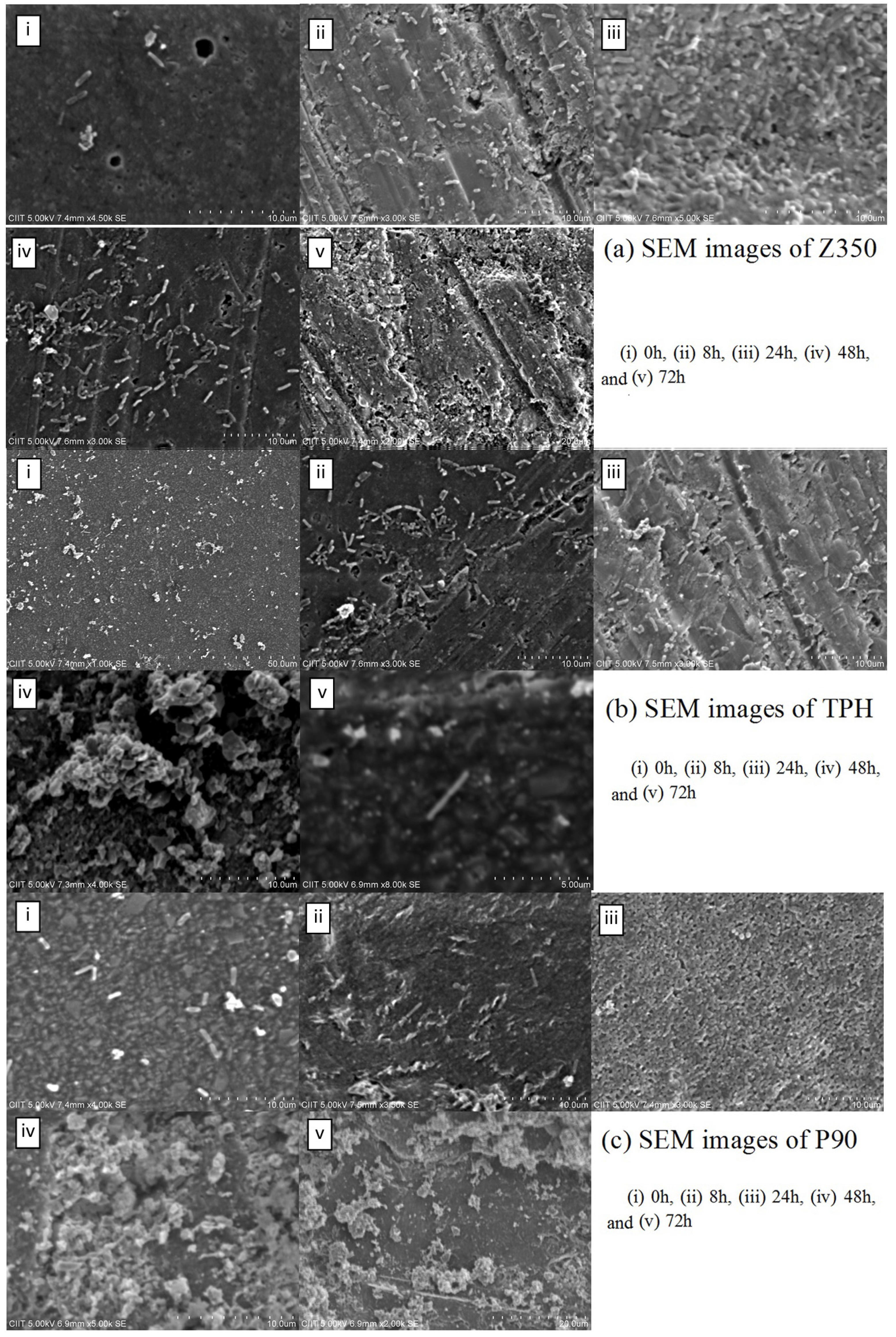 Materials 08 03221 g008 1024