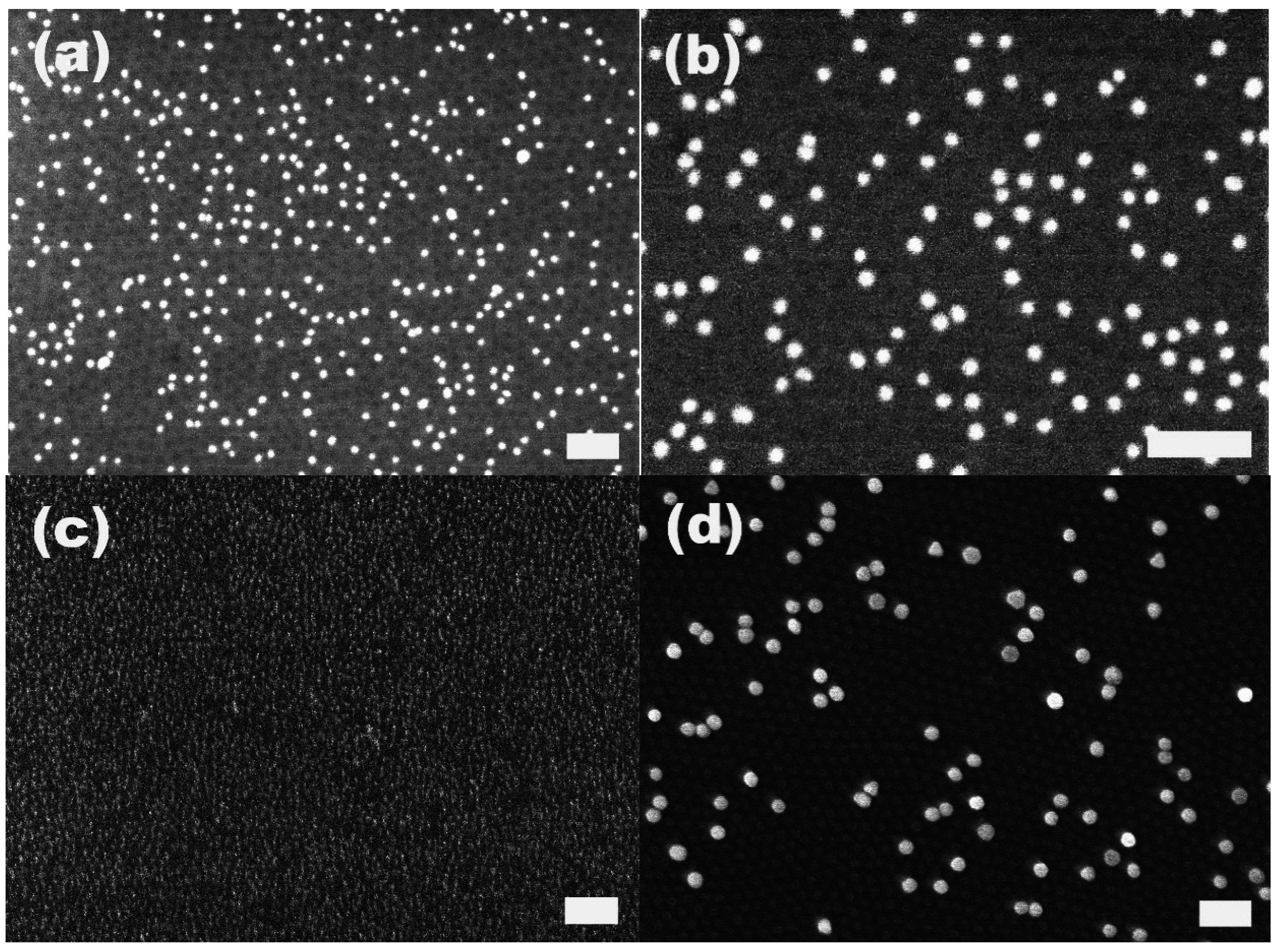 Materials 08 03793 g001 1024