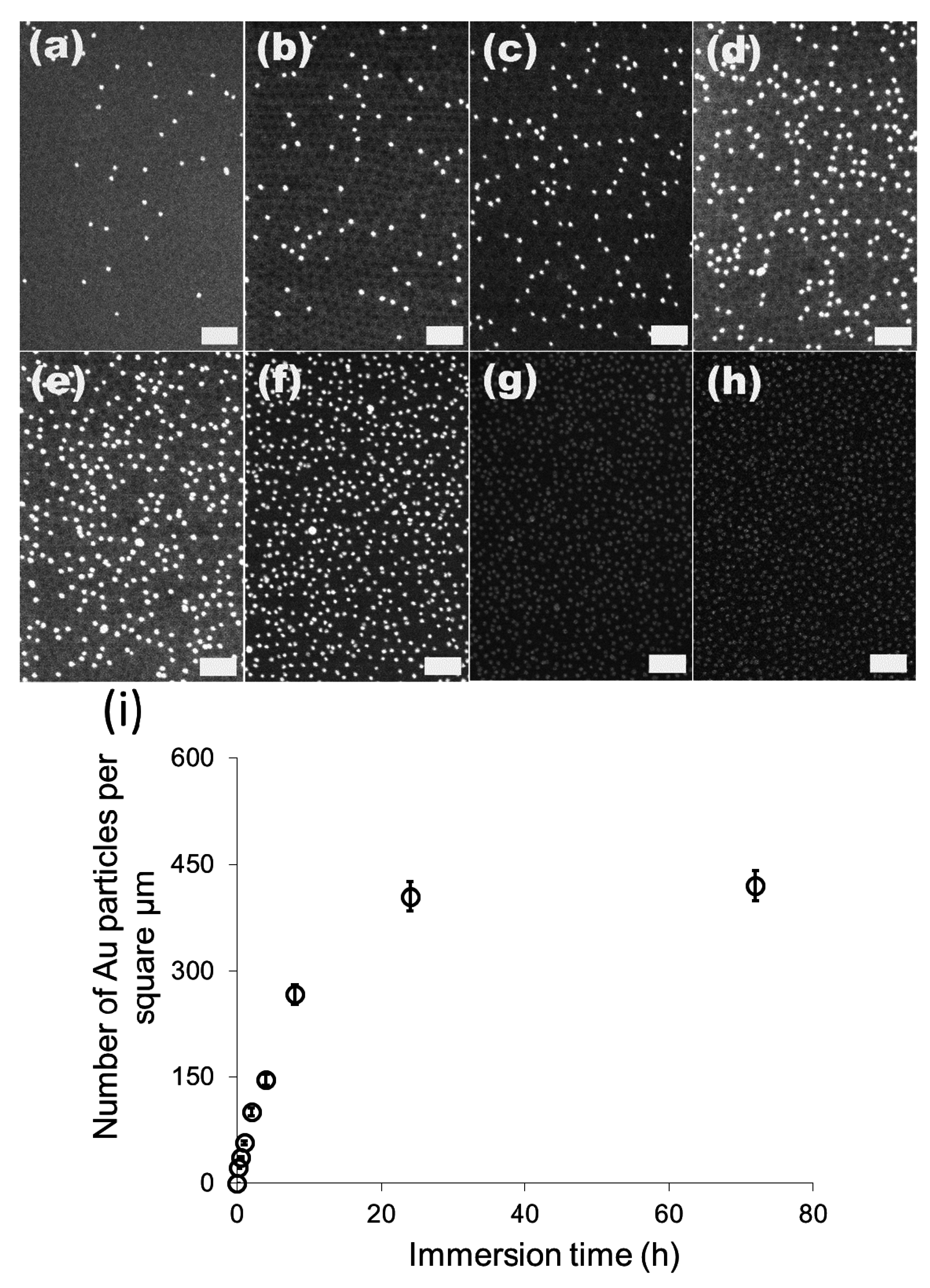 Materials 08 03793 g003 1024
