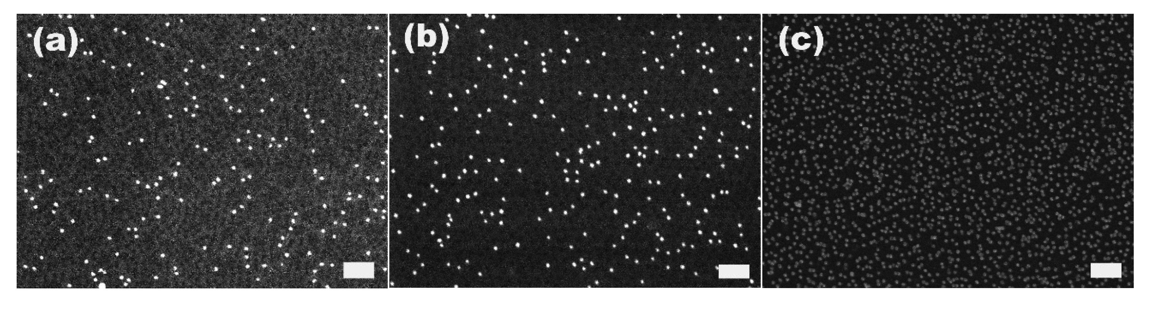 Materials 08 03793 g004 1024