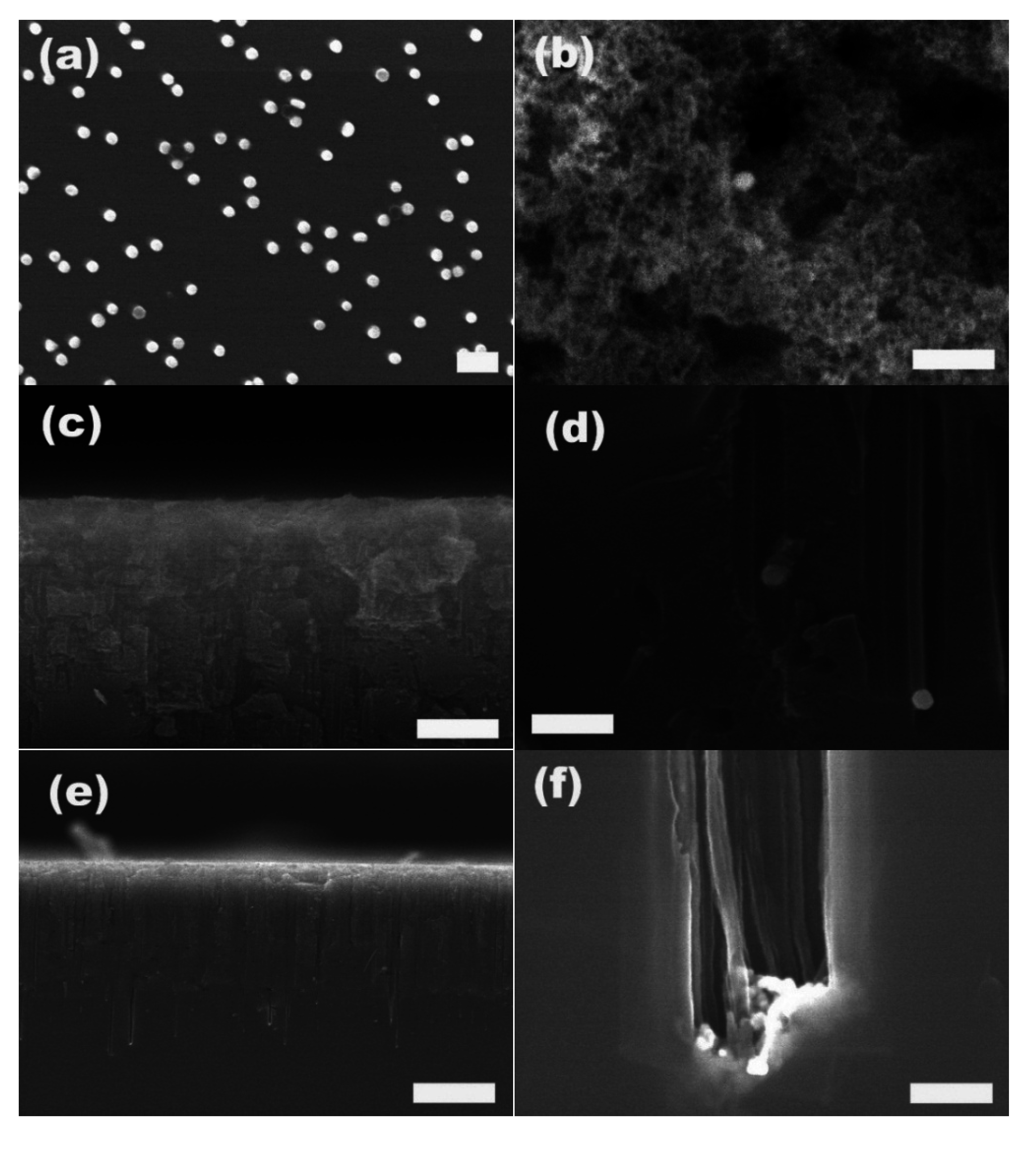 Materials 08 03793 g005 1024