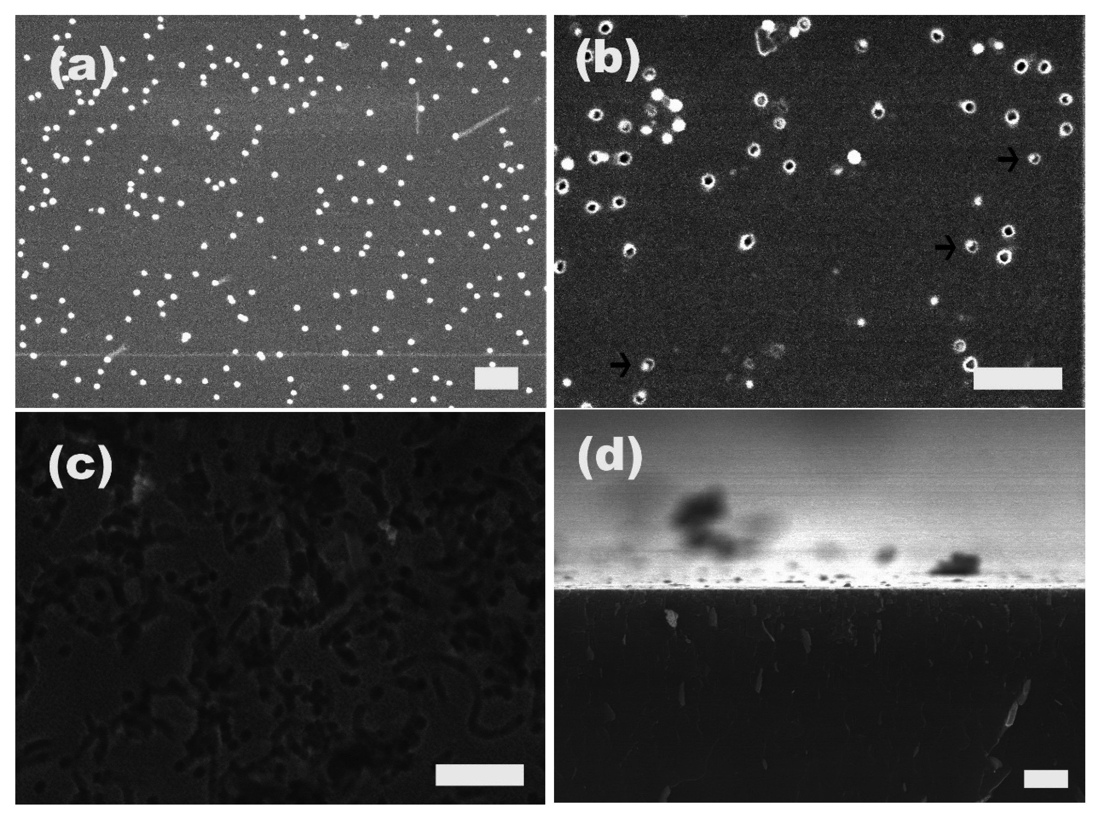 Materials 08 03793 g006 1024