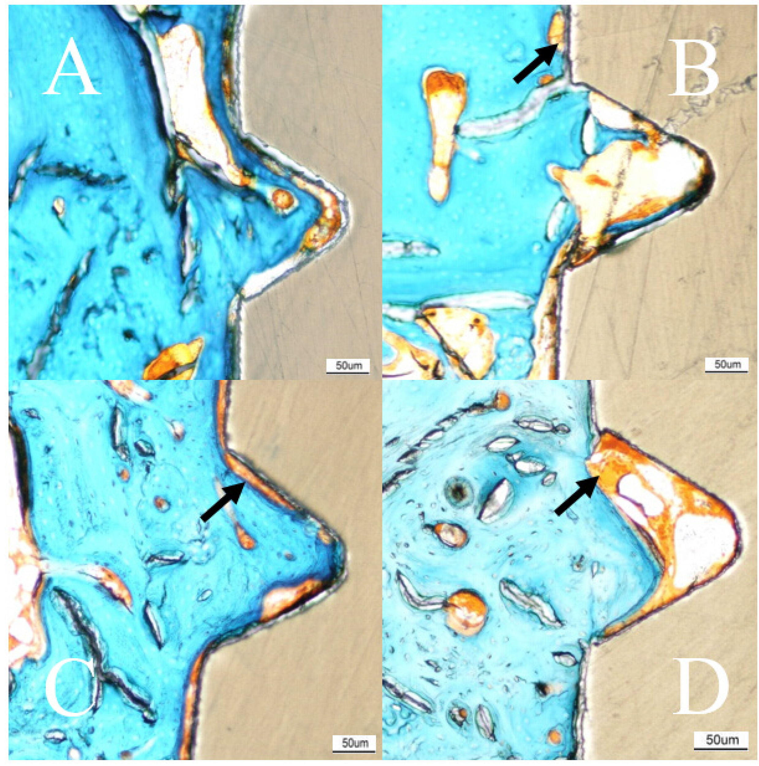 Materials 08 03815 g006