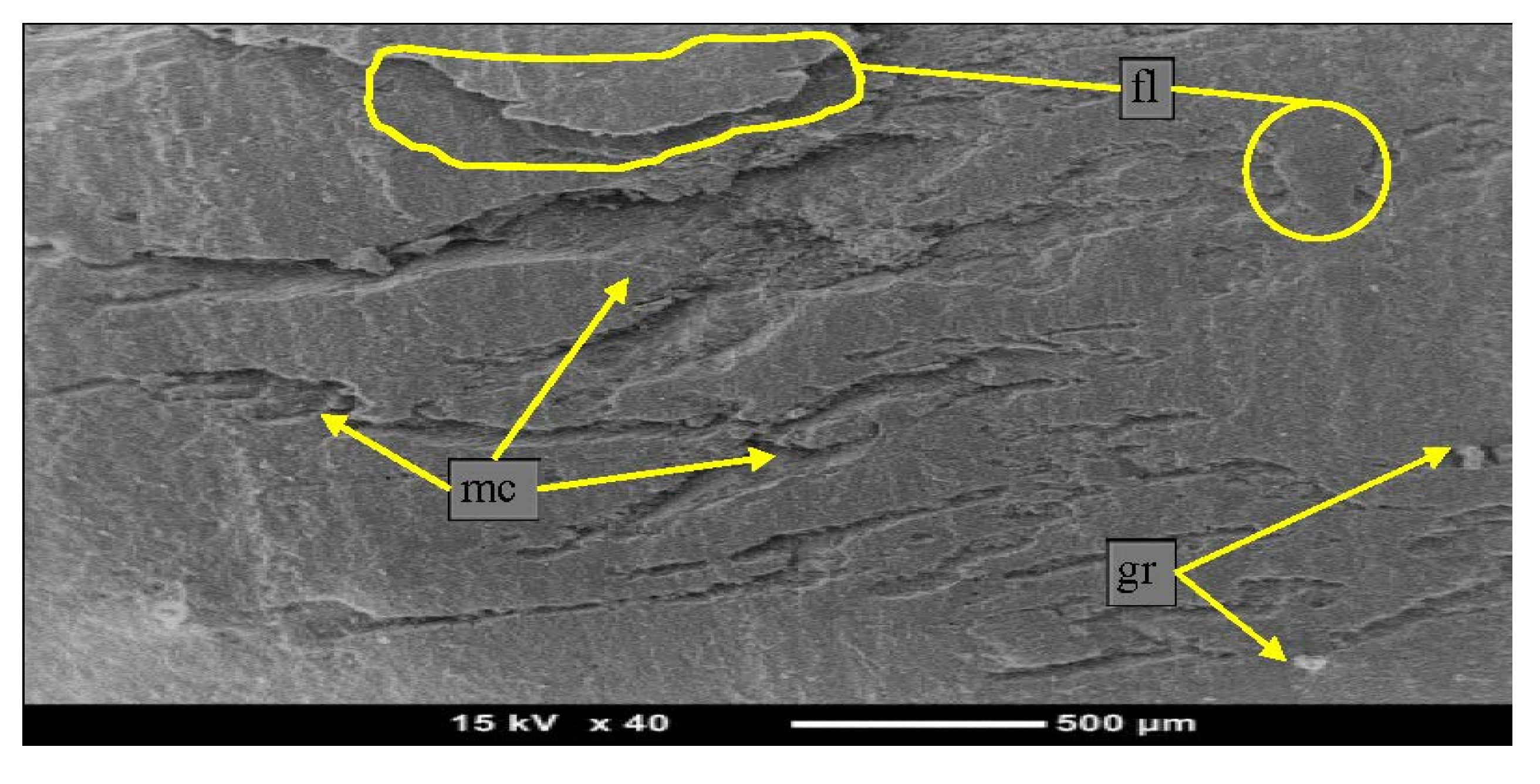 Materials 08 04162 g009