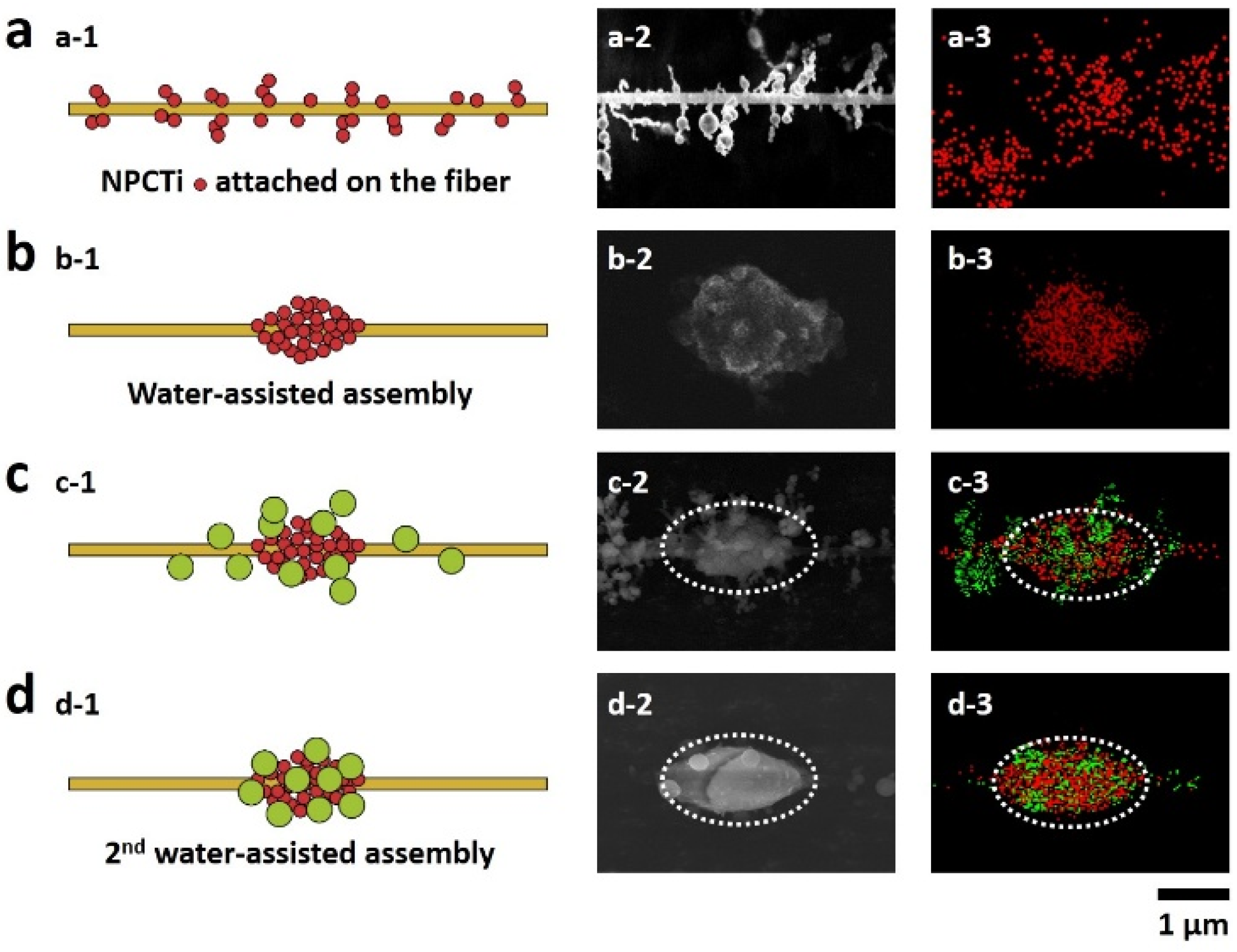 Materials 08 04249 g002 1024